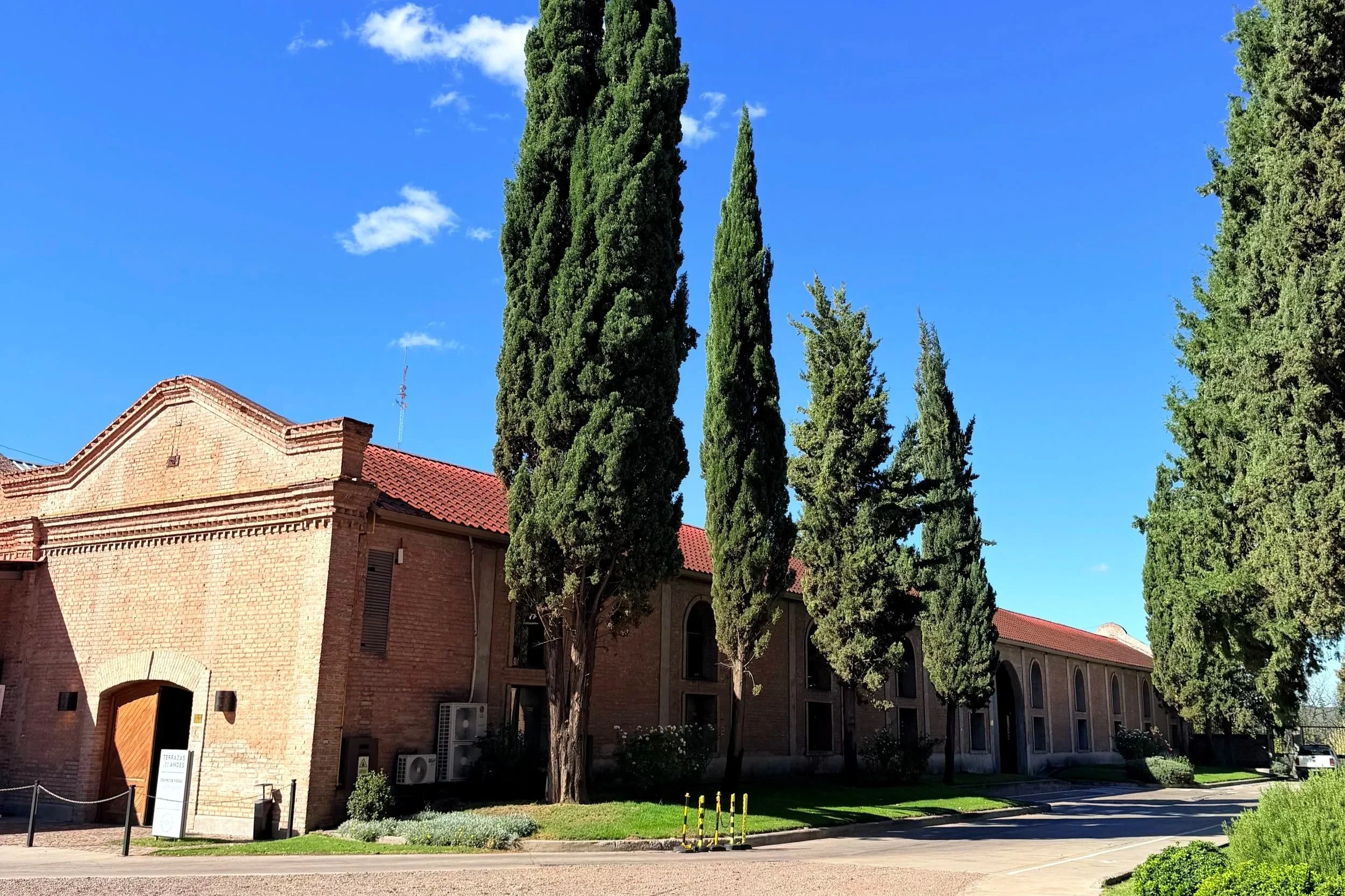 vineyard in mendoza