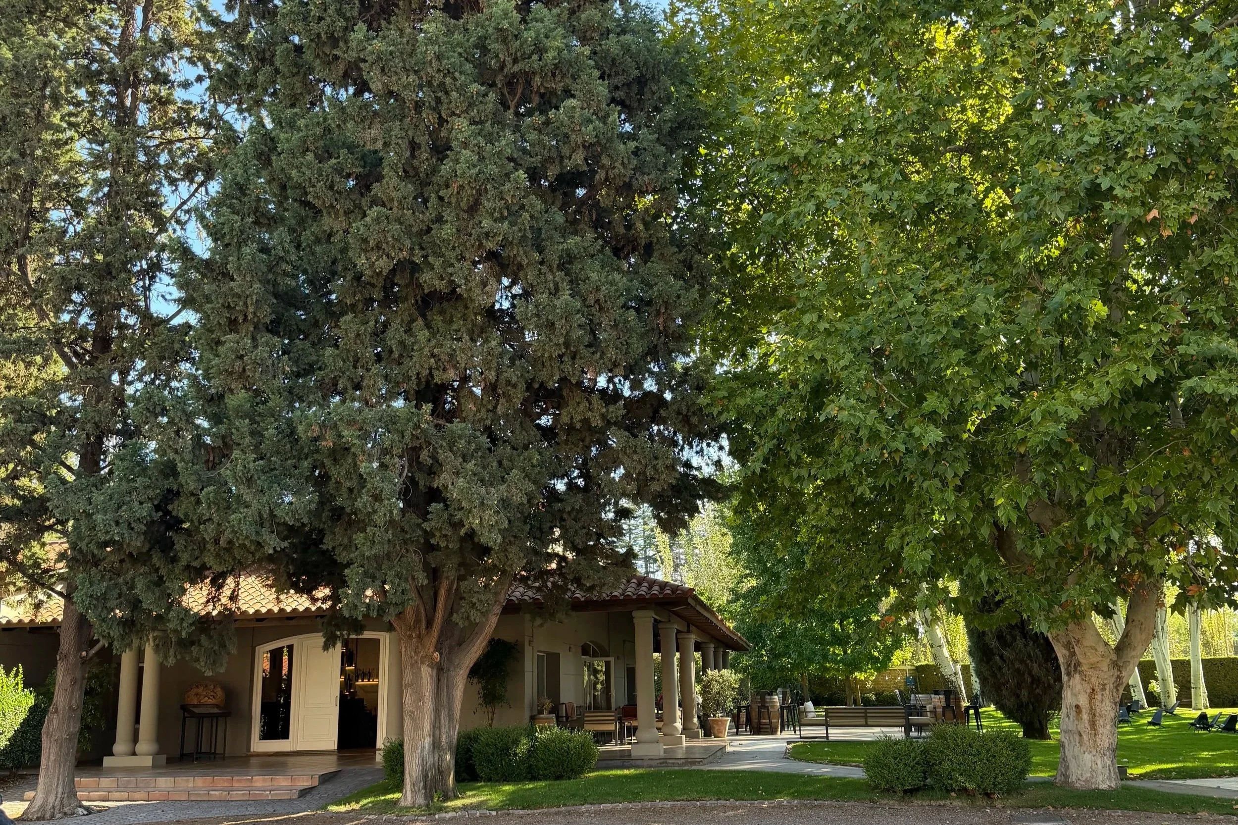 terrazas de los andes mendoza