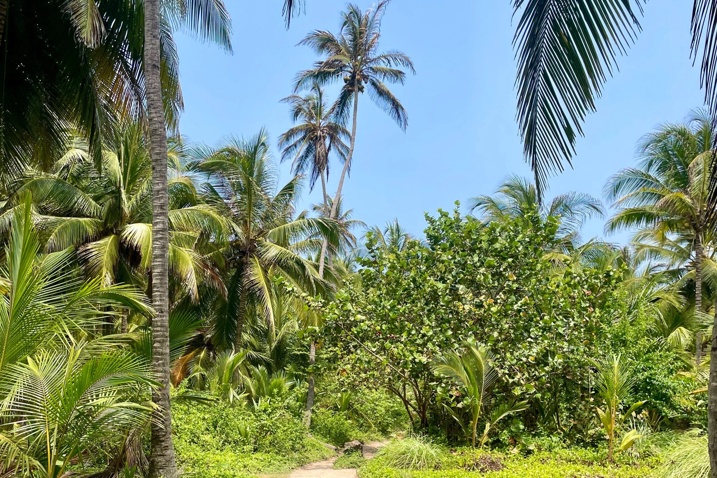 tayrona park in colombia
