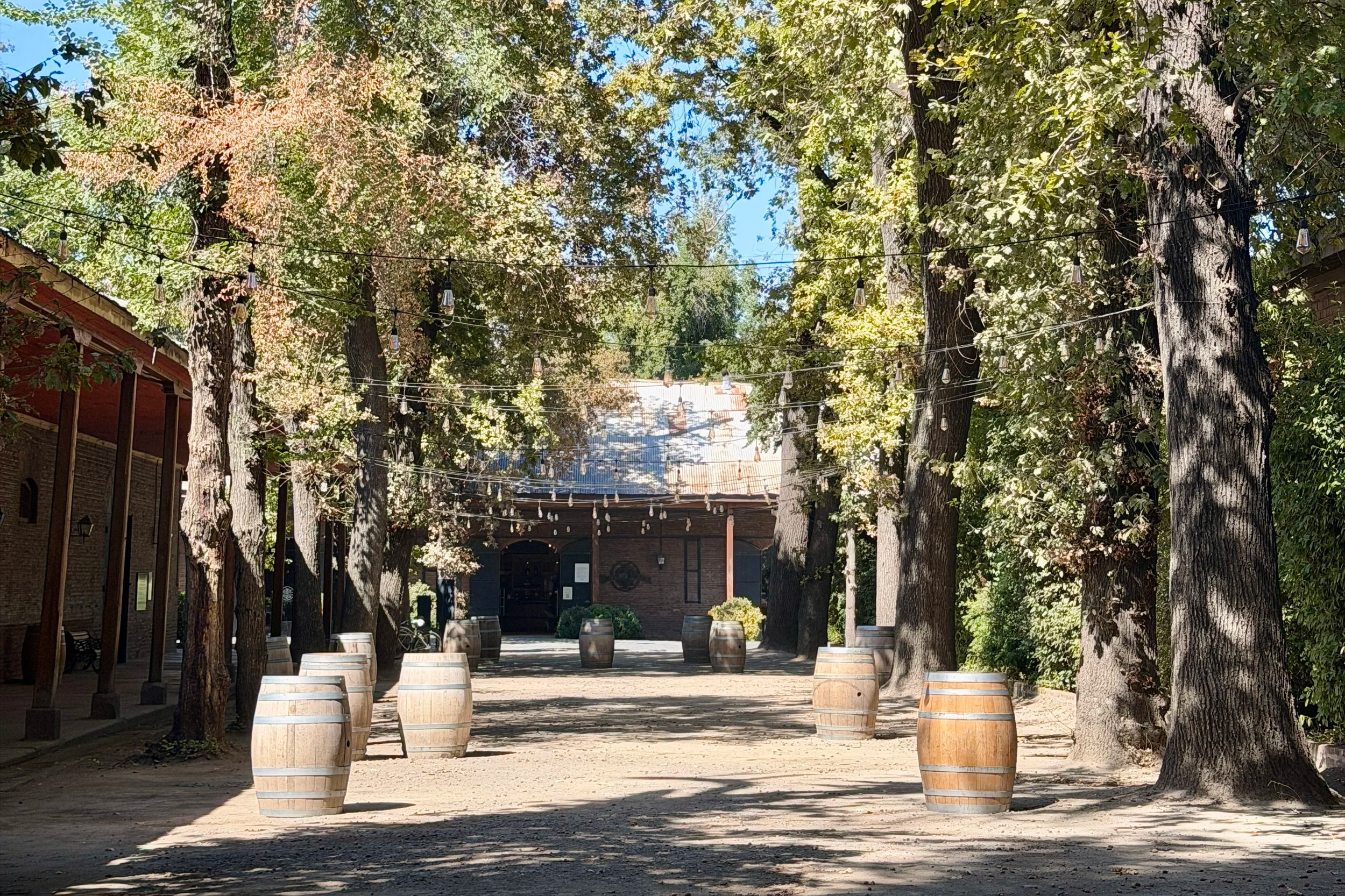 vina cousino macul santiago wine tour