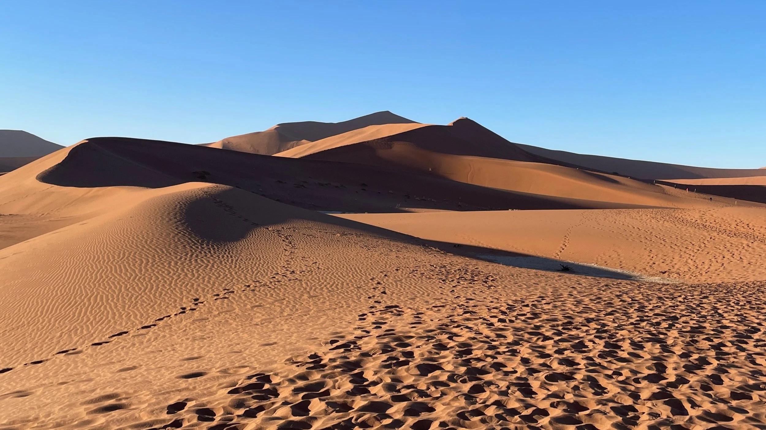 red sand dune namibia