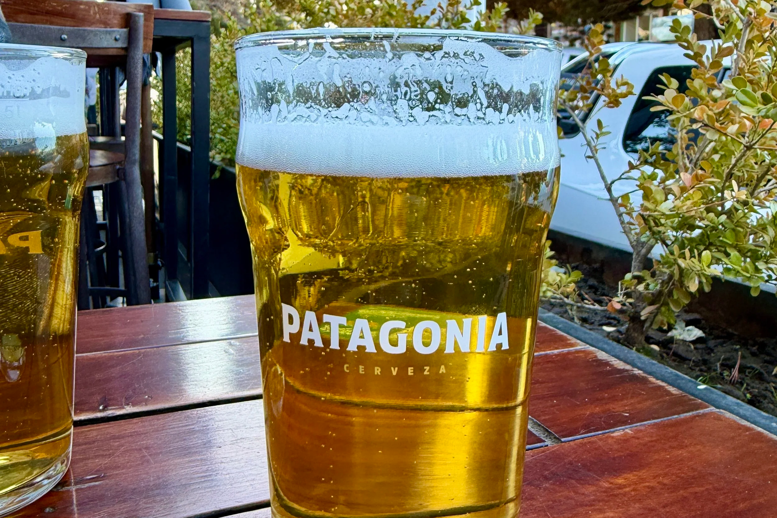 patagonia brewing co