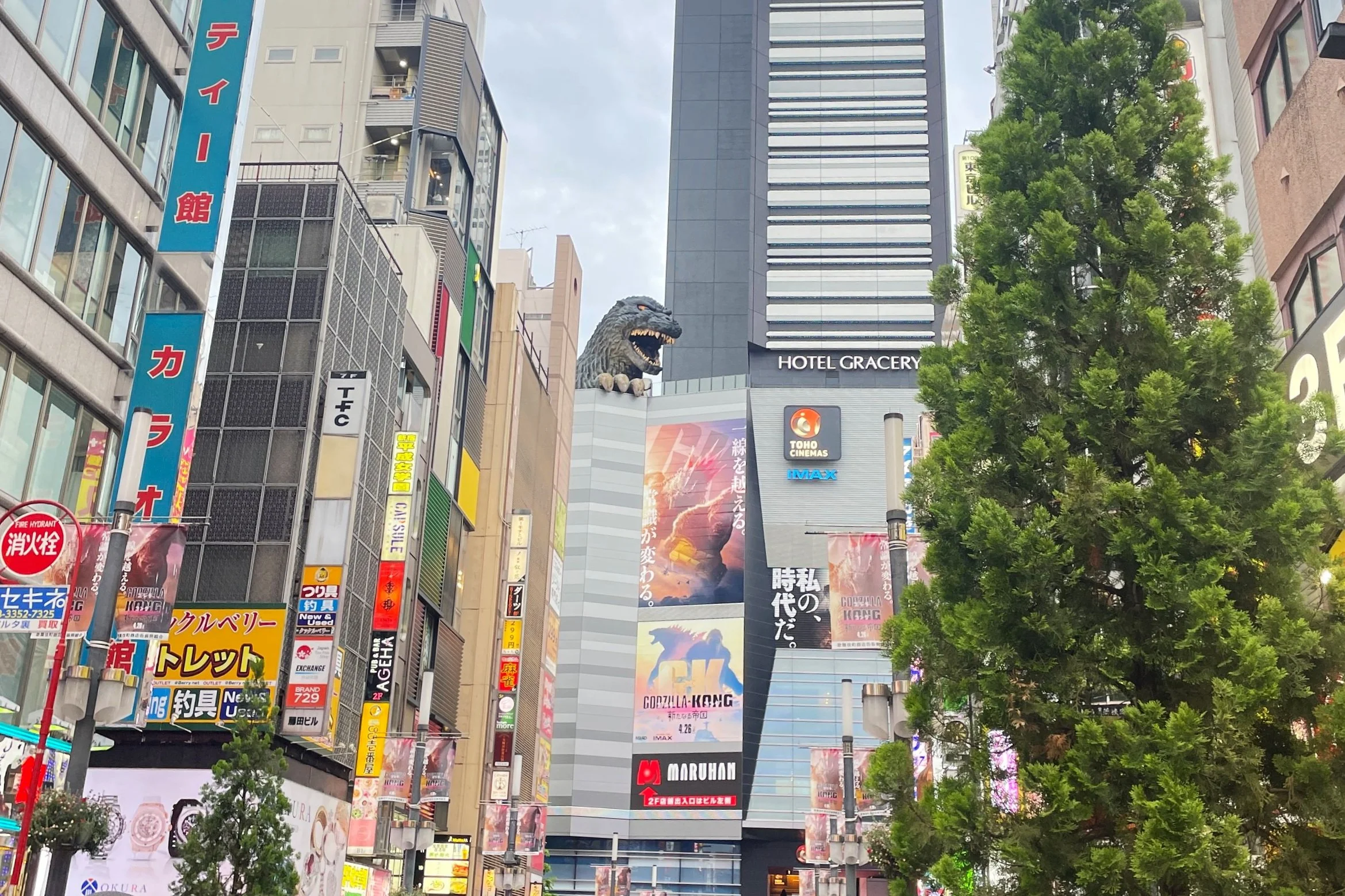 Shinjuku Tokyo