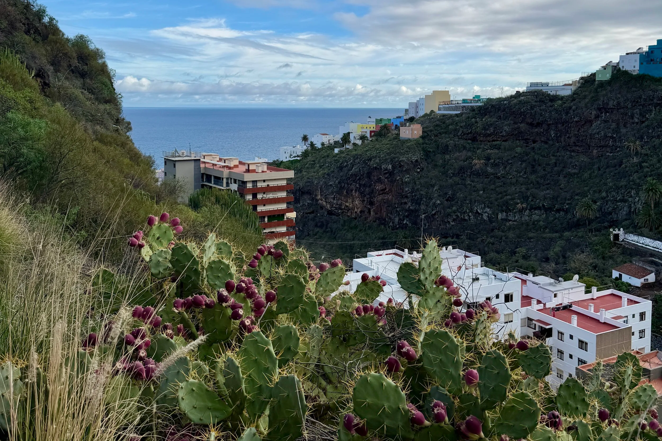 Molinos de Bellido santa cruz de la palma