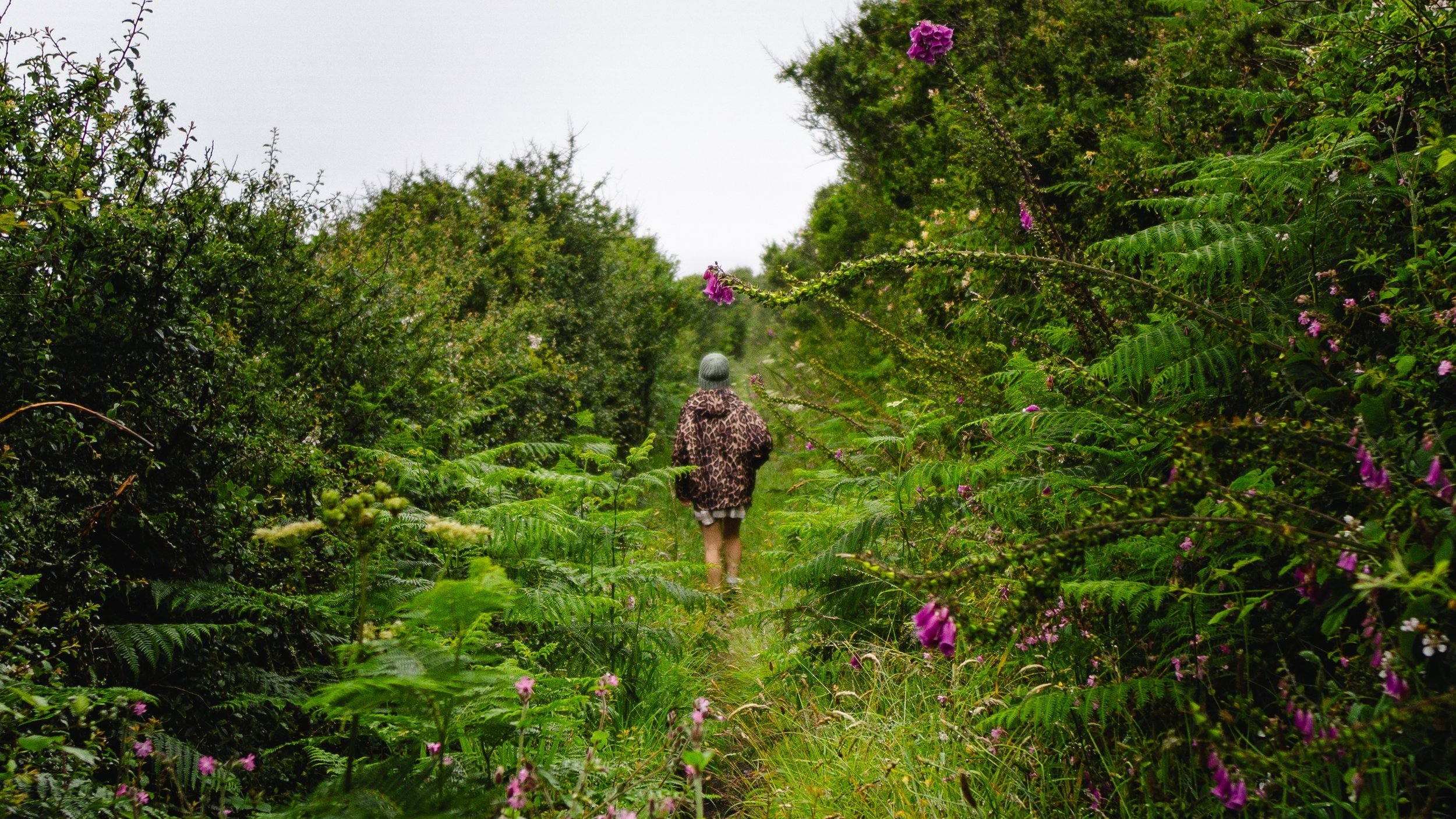 10 of the best walks in West Cornwall