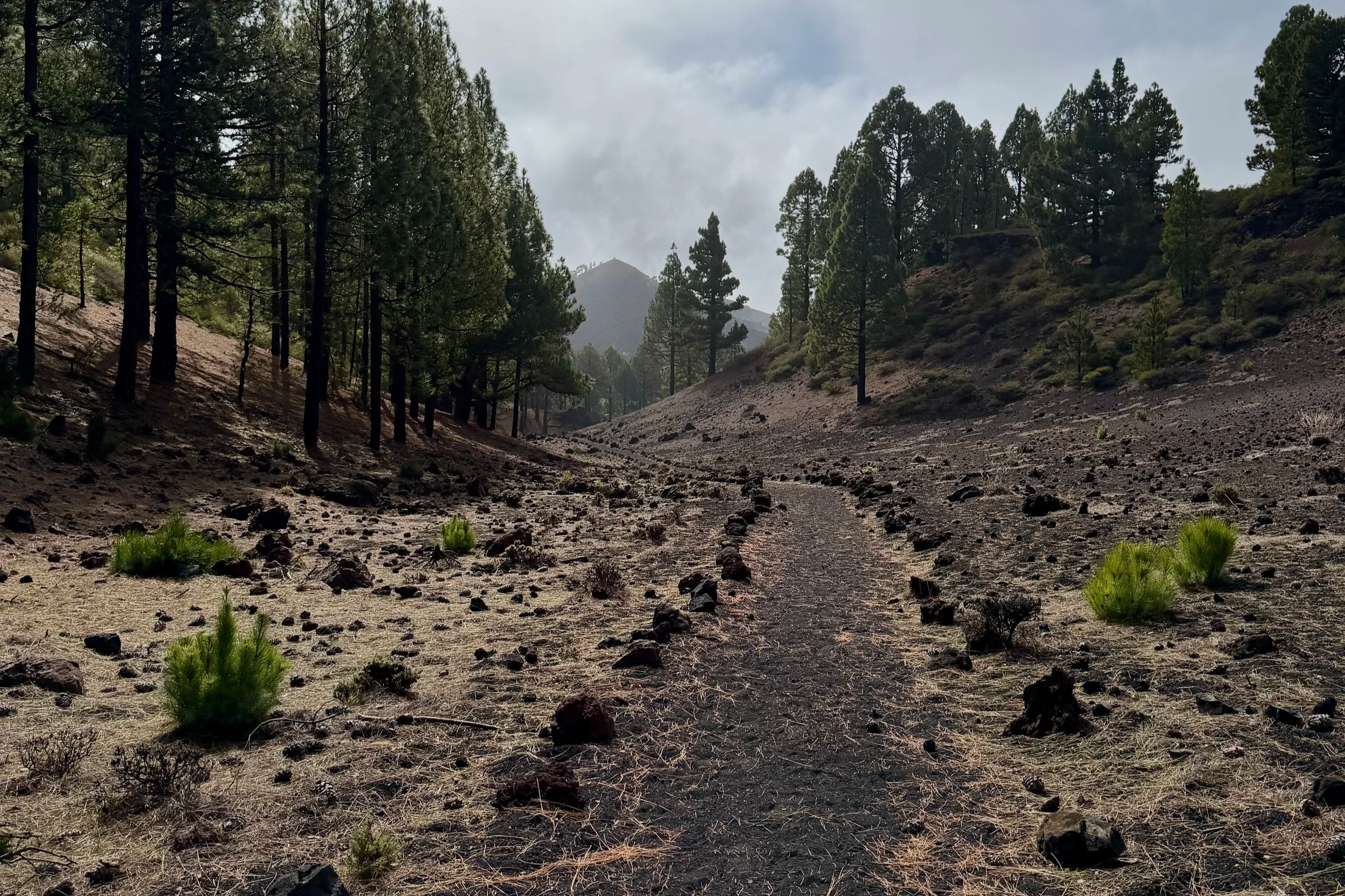 Ruta de los Volcanes hike la palma