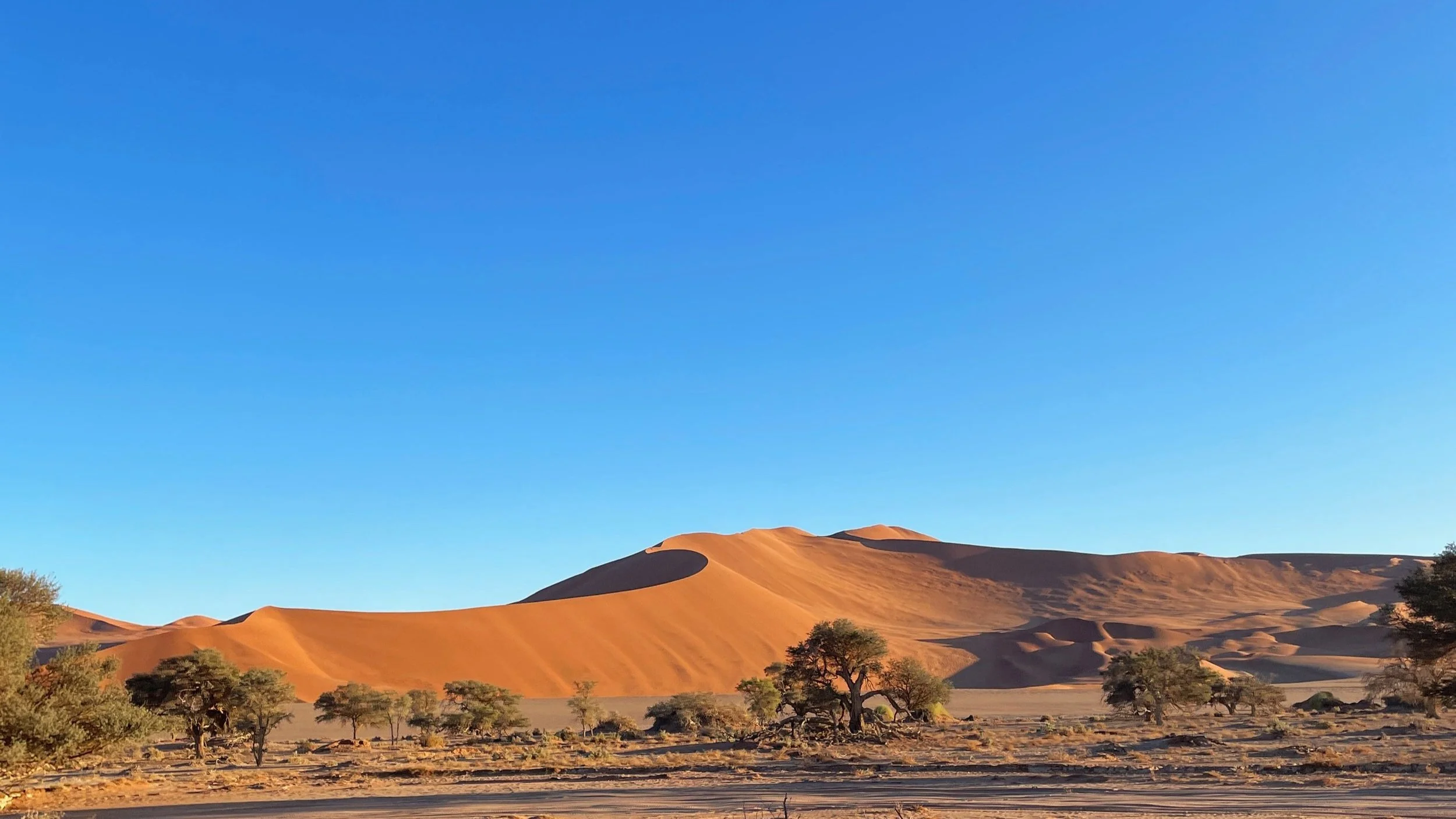 big daddy dune namibia