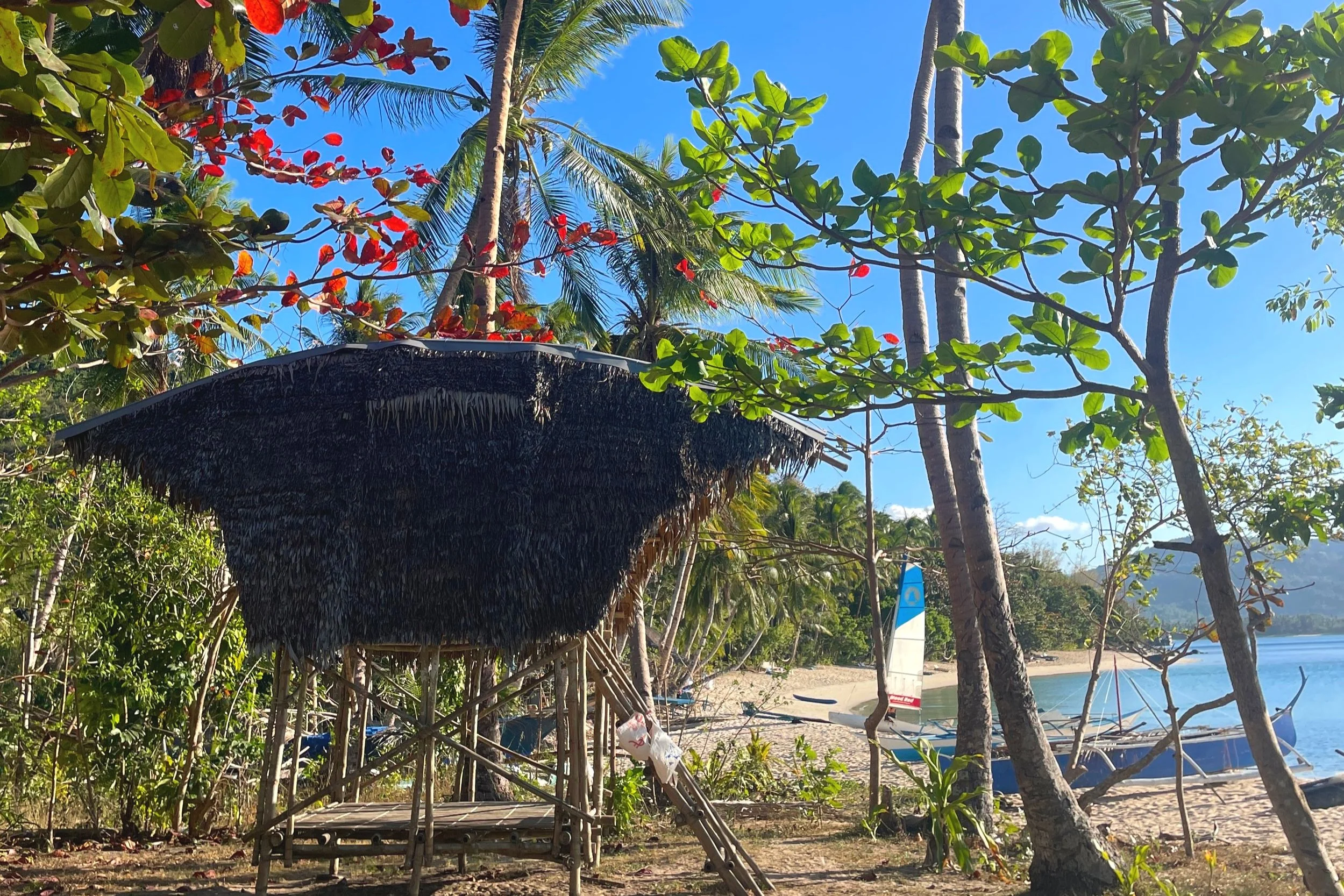 hut in the philippines