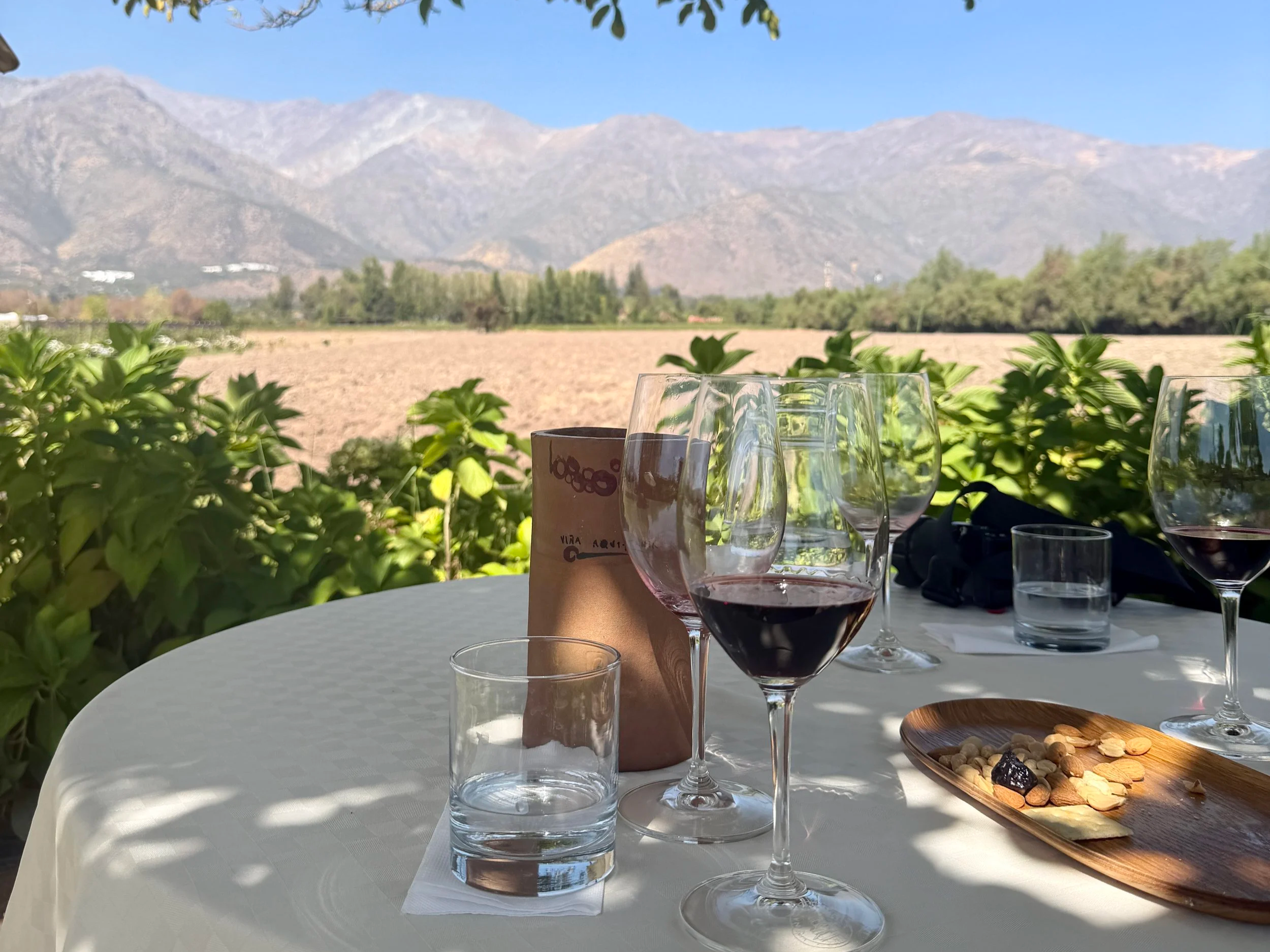 wine tasting a aquitania santiago