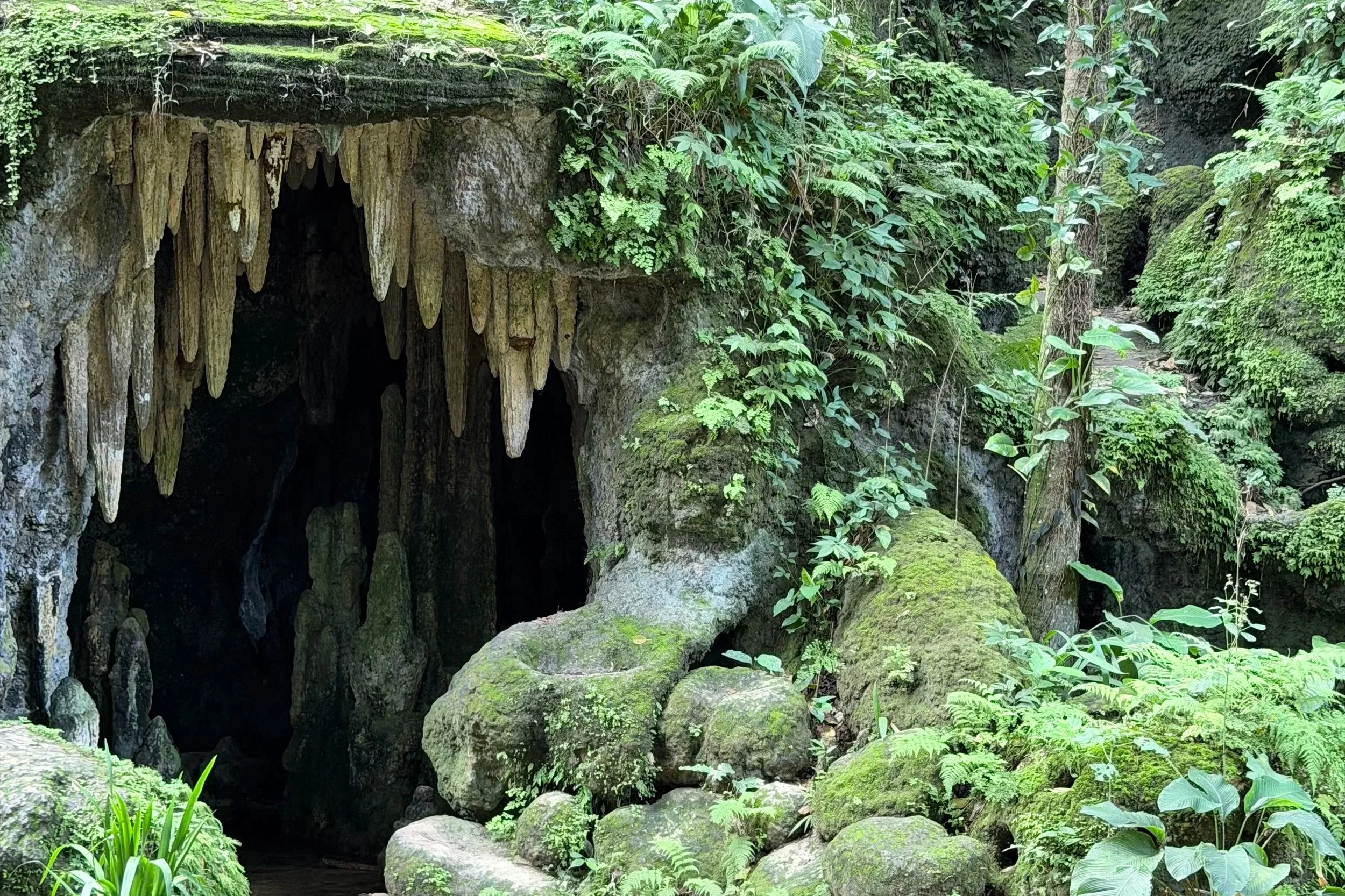 parque lage rio