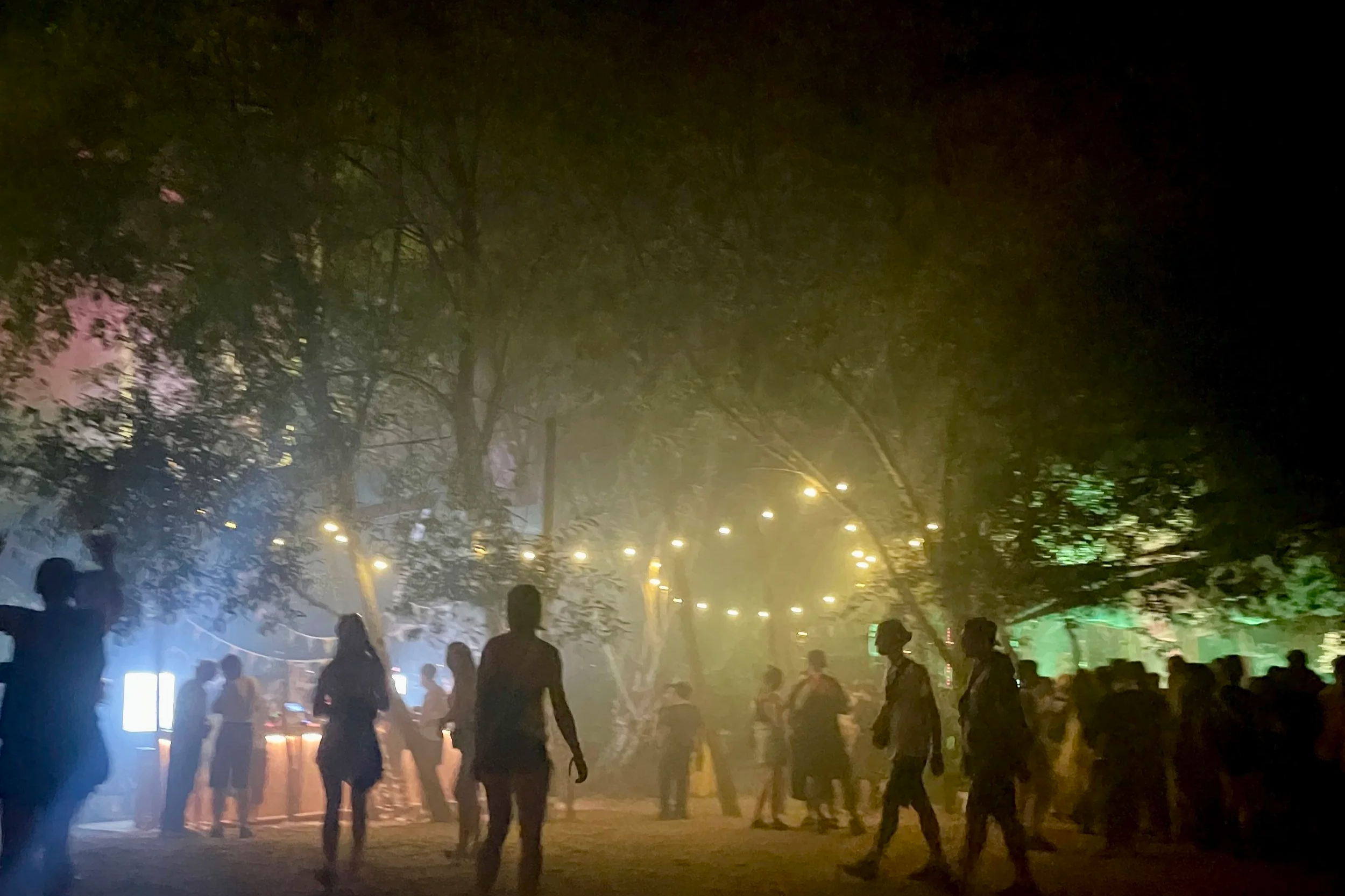 nighlife at electric castle festival