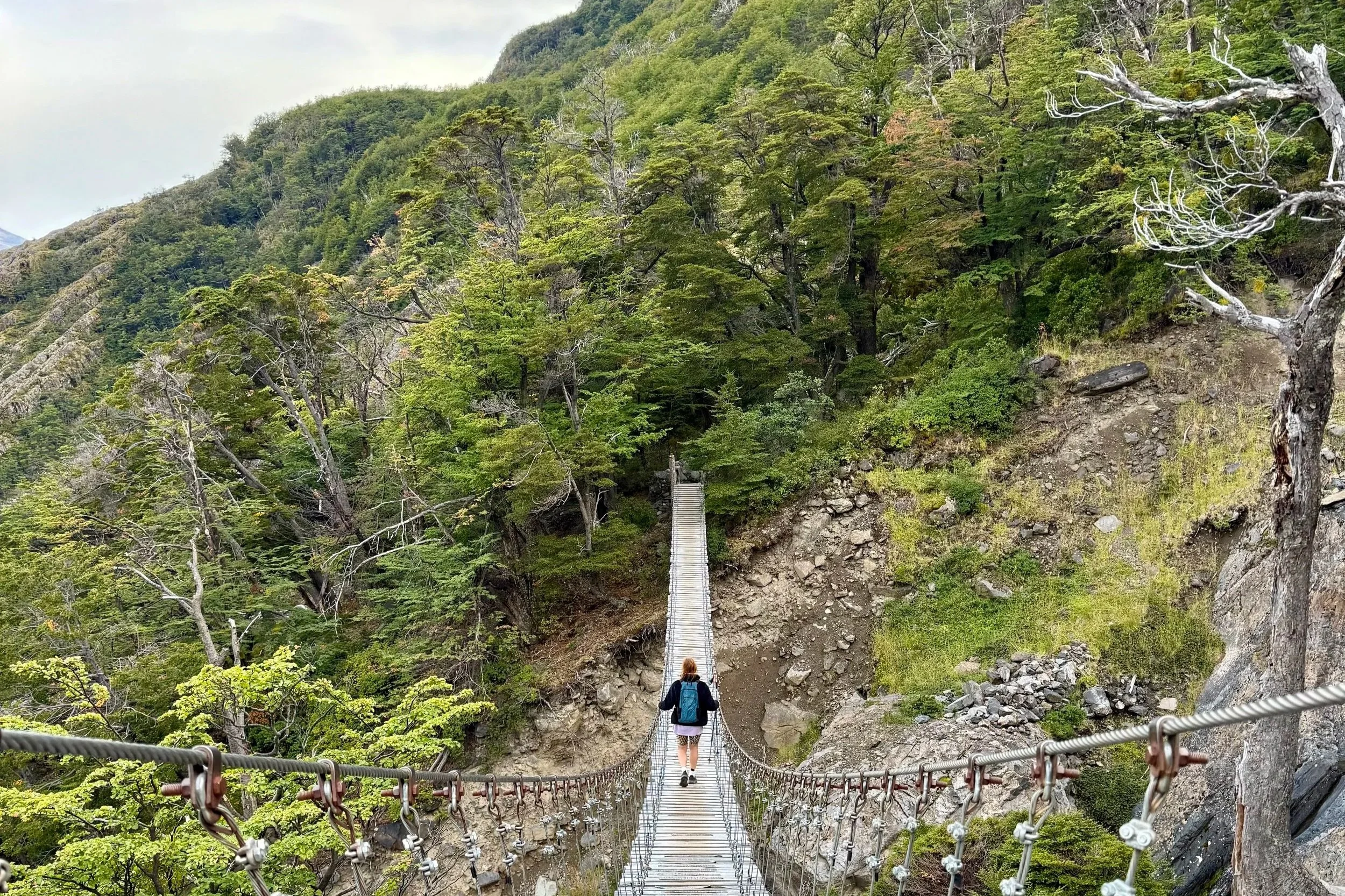 bridge crossing torres del paine