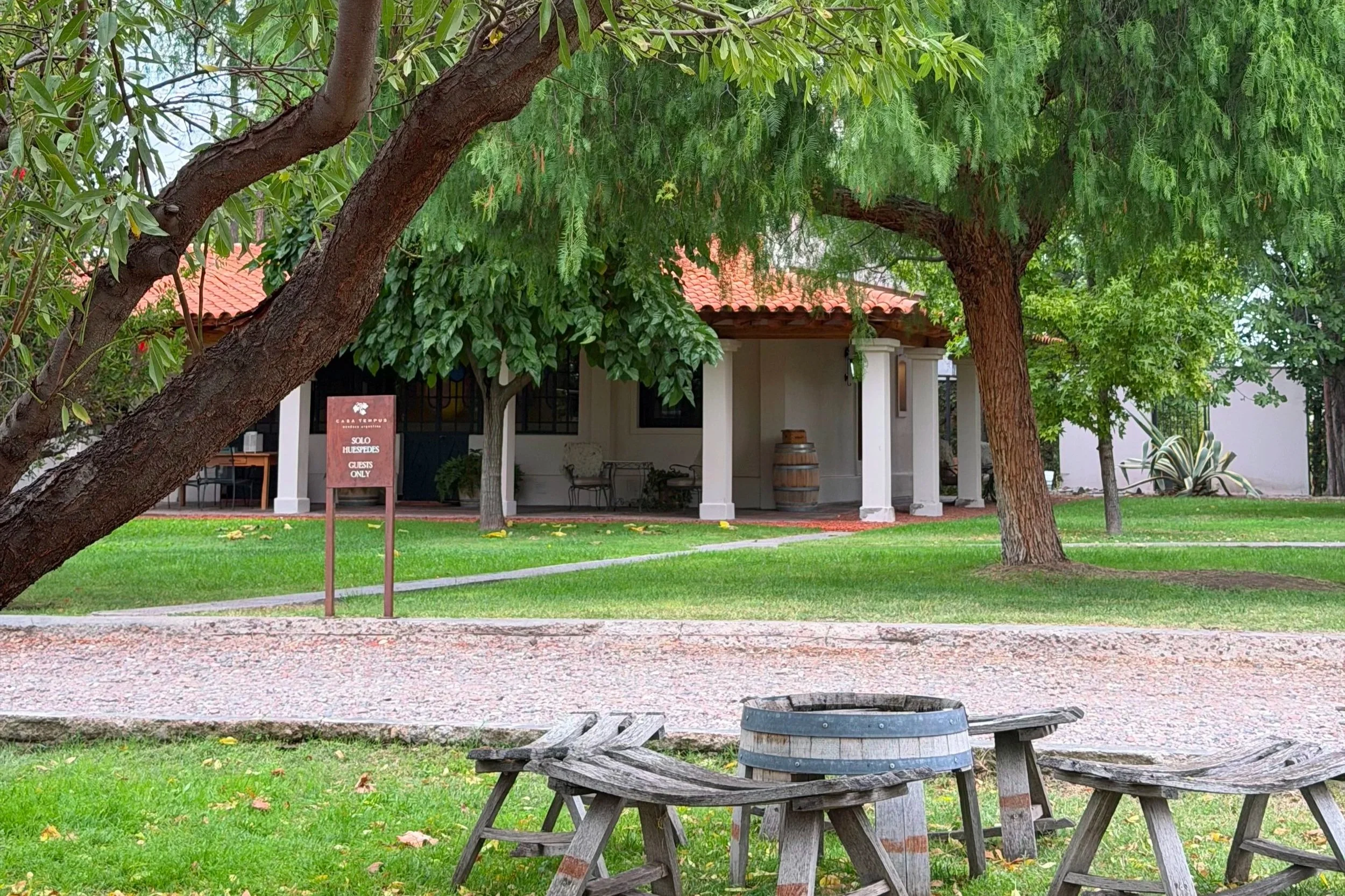 vineyard in mendoza