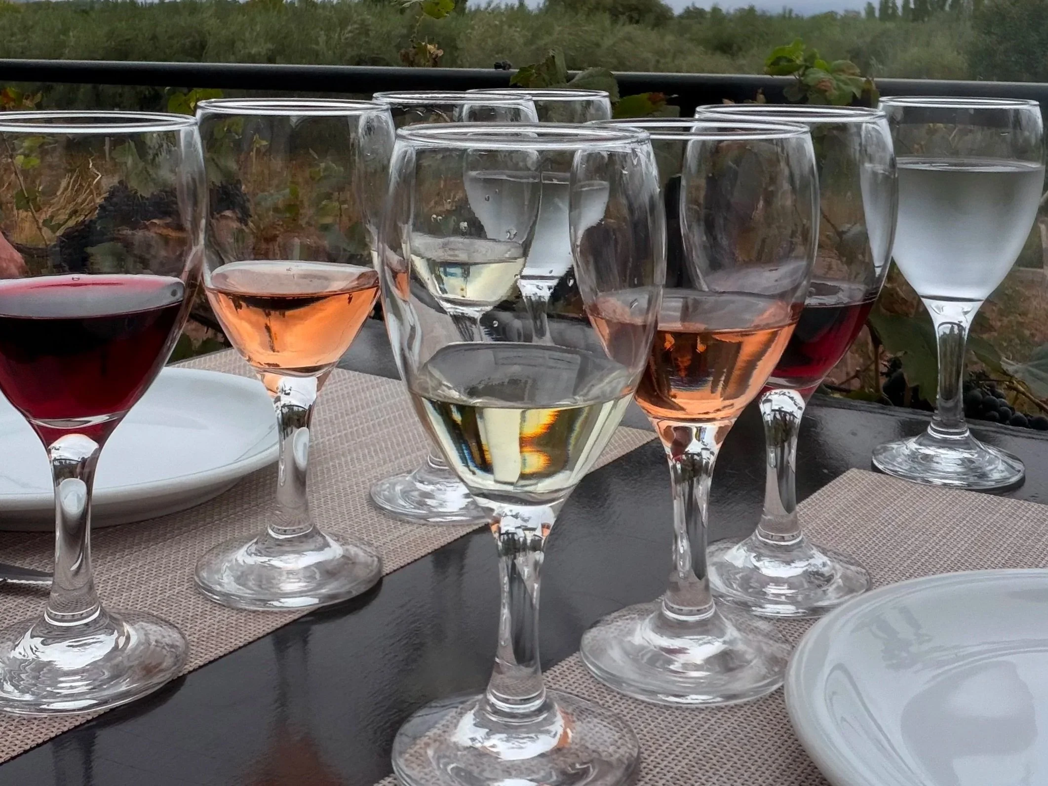 wine tasting mevi mendoza