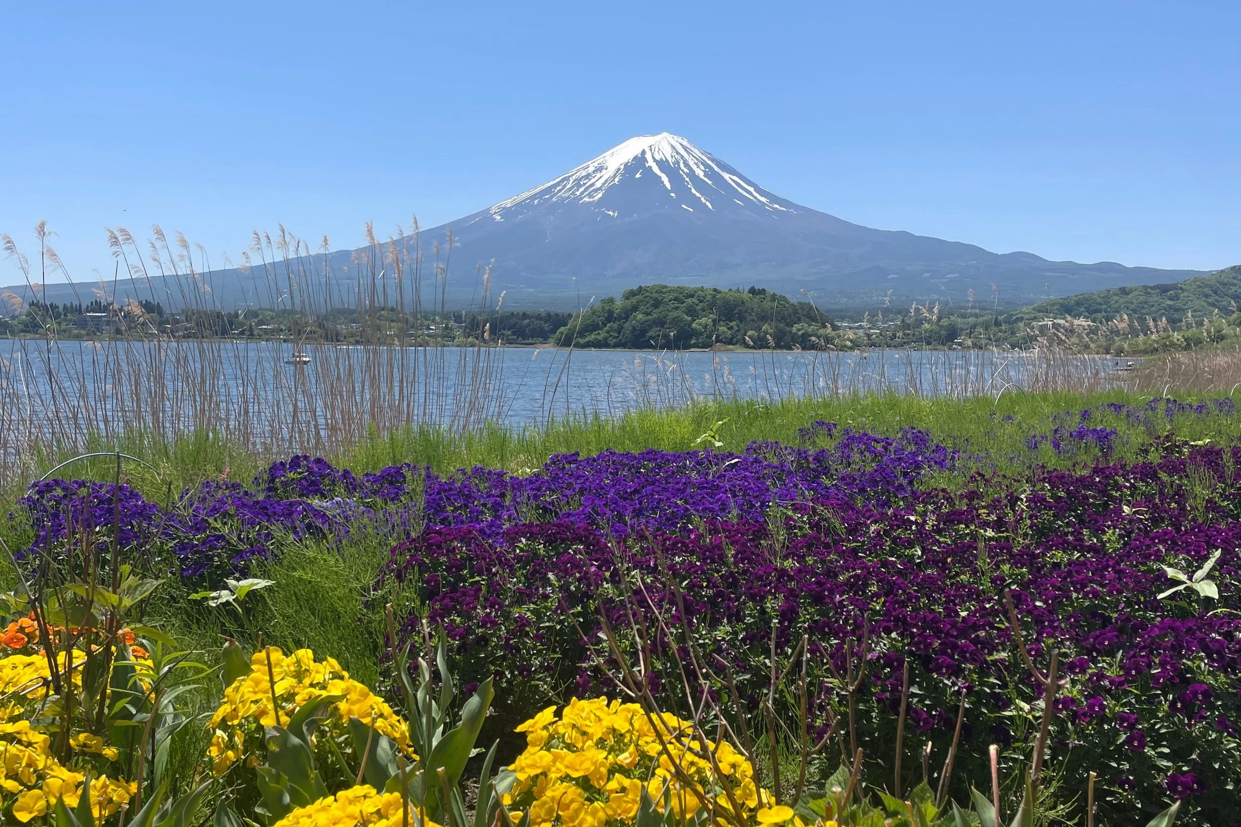 mount fuji japan