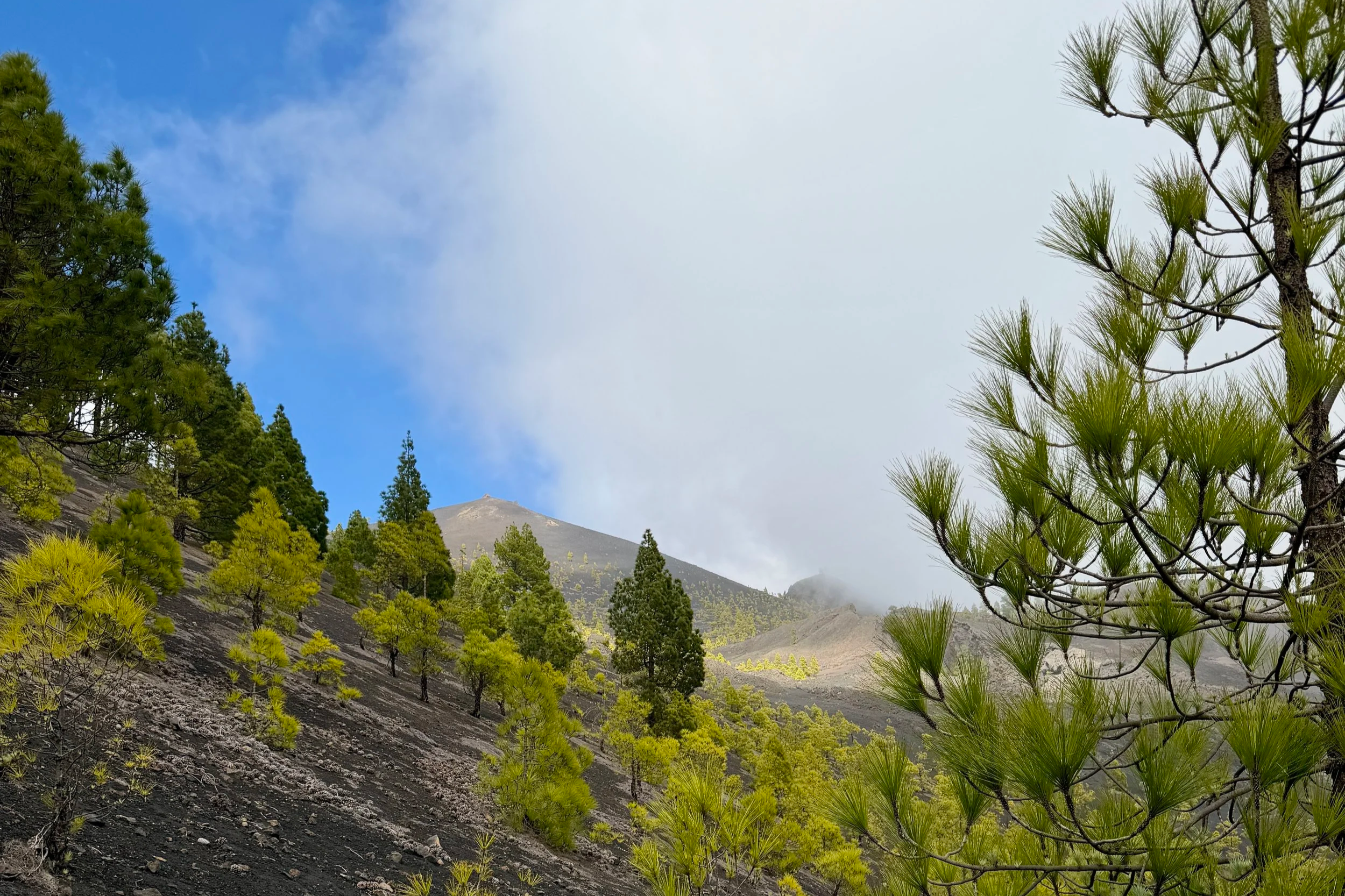 The best hikes in La Palma