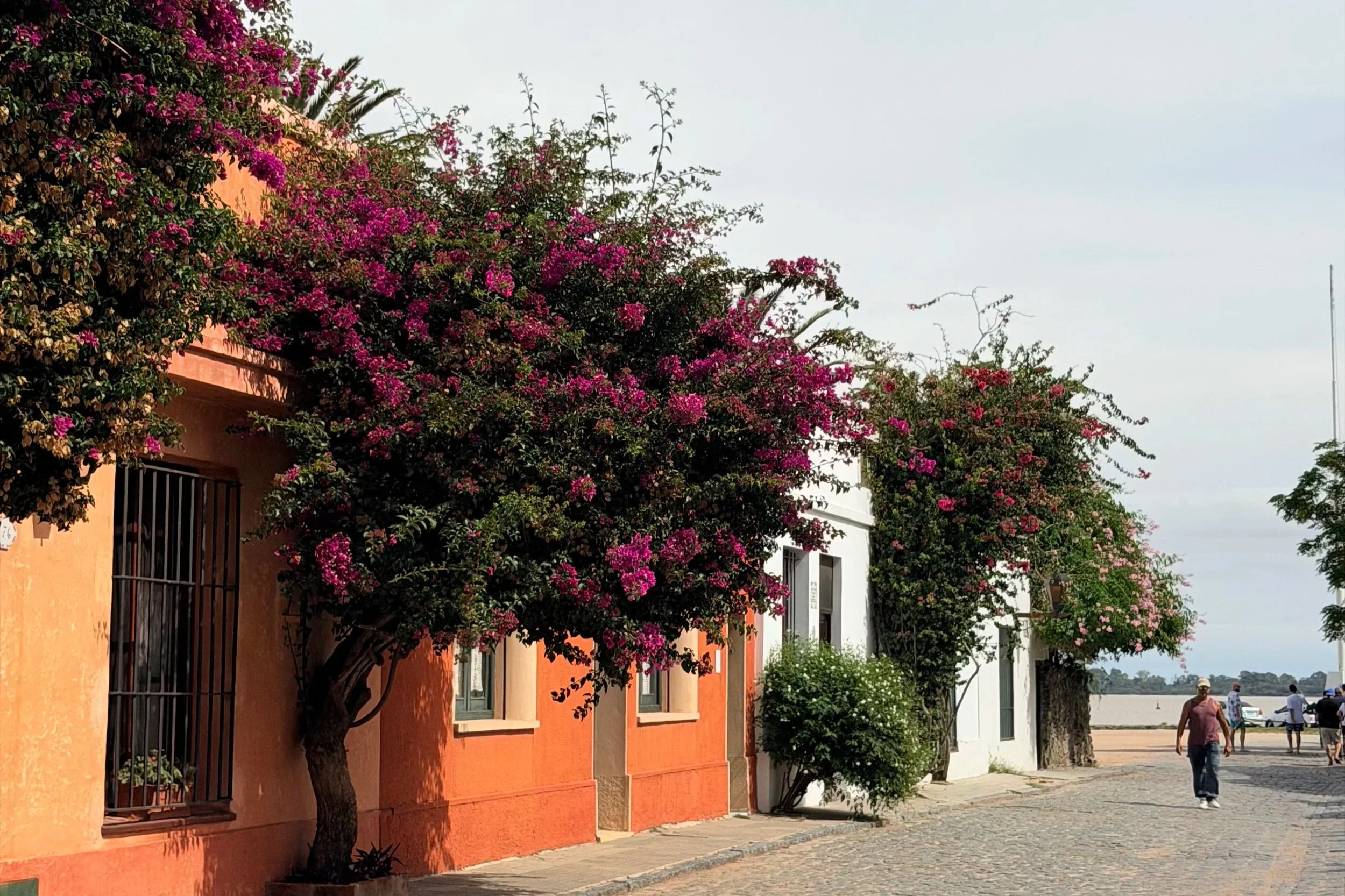 colonia del sacramento