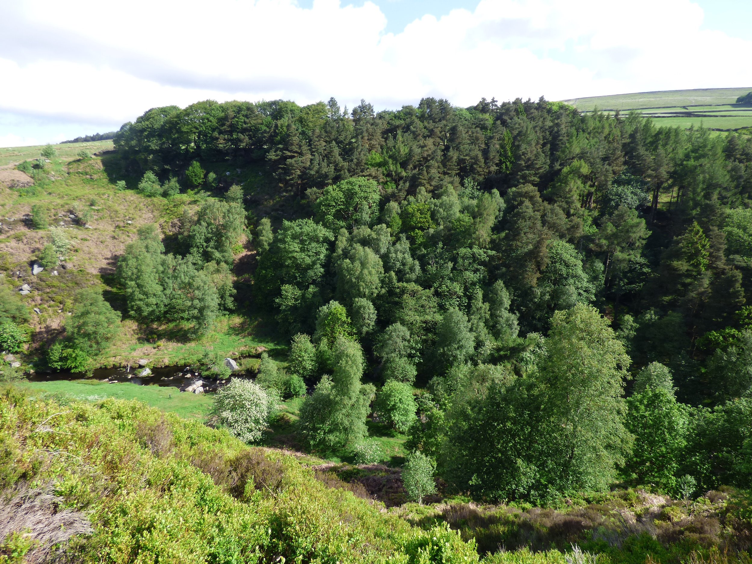 Hardcastle Crags from Widdop Gate