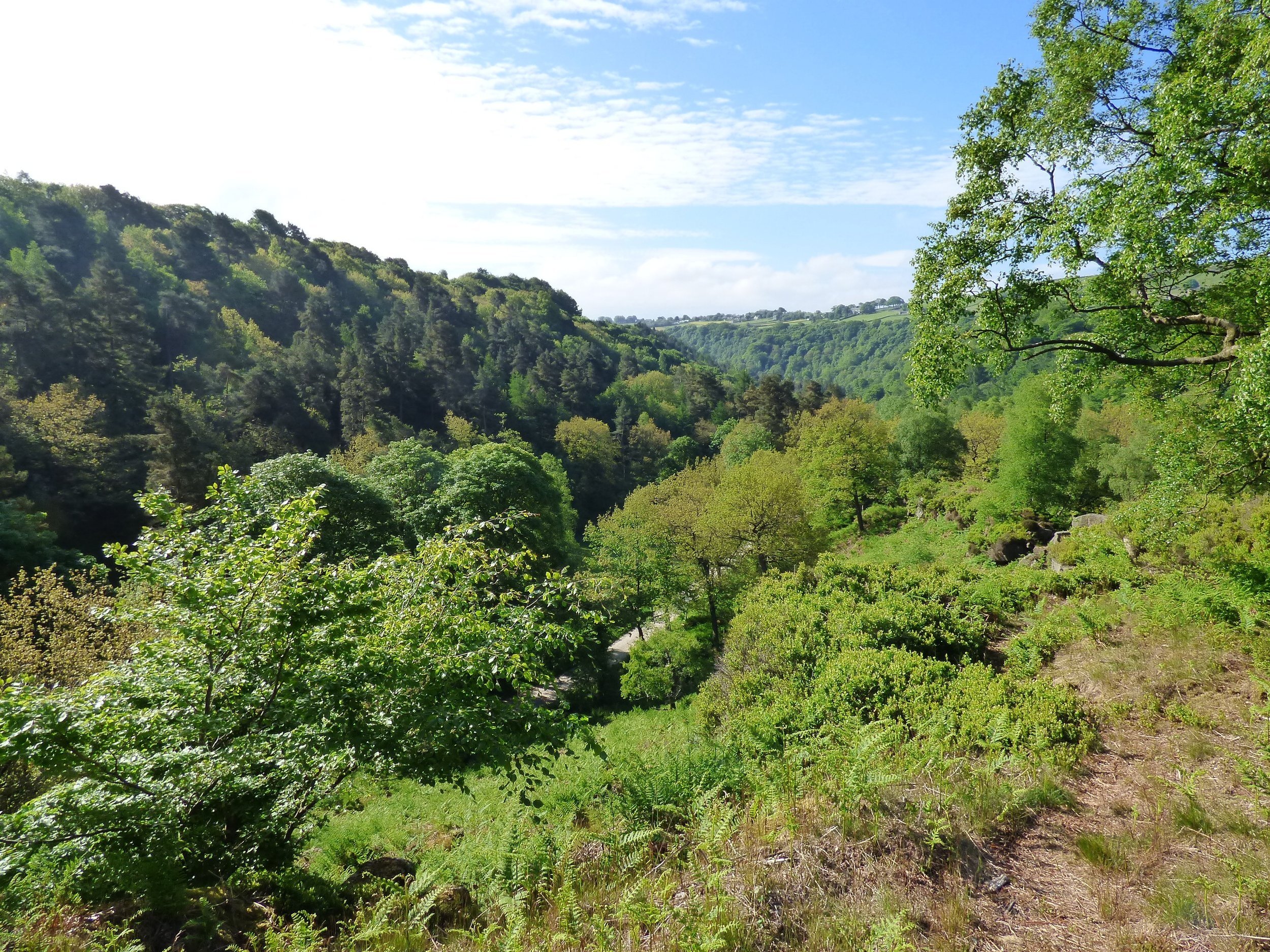 Hardcastle Crags