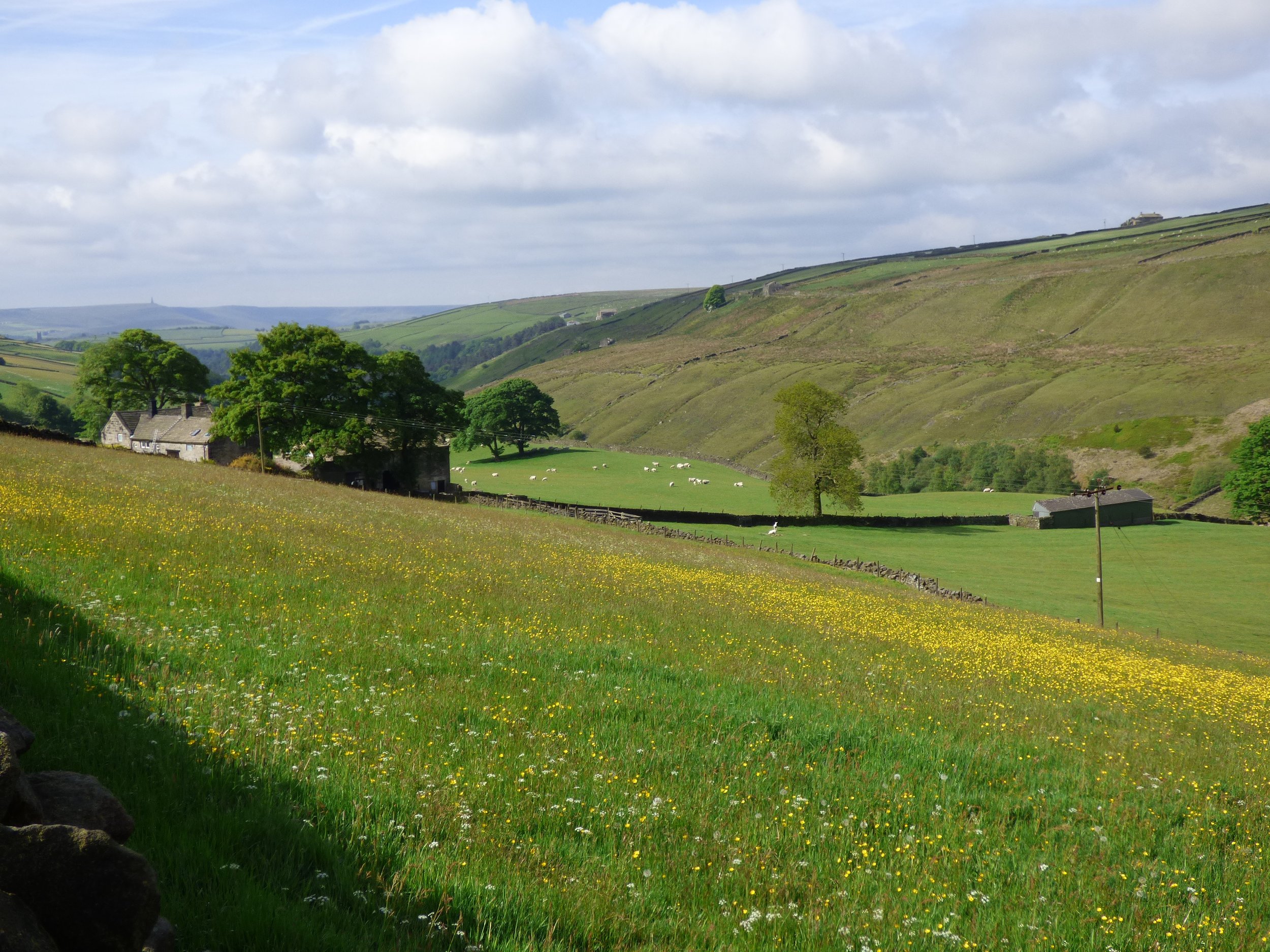 Grain Farm in Crimsworth Dean