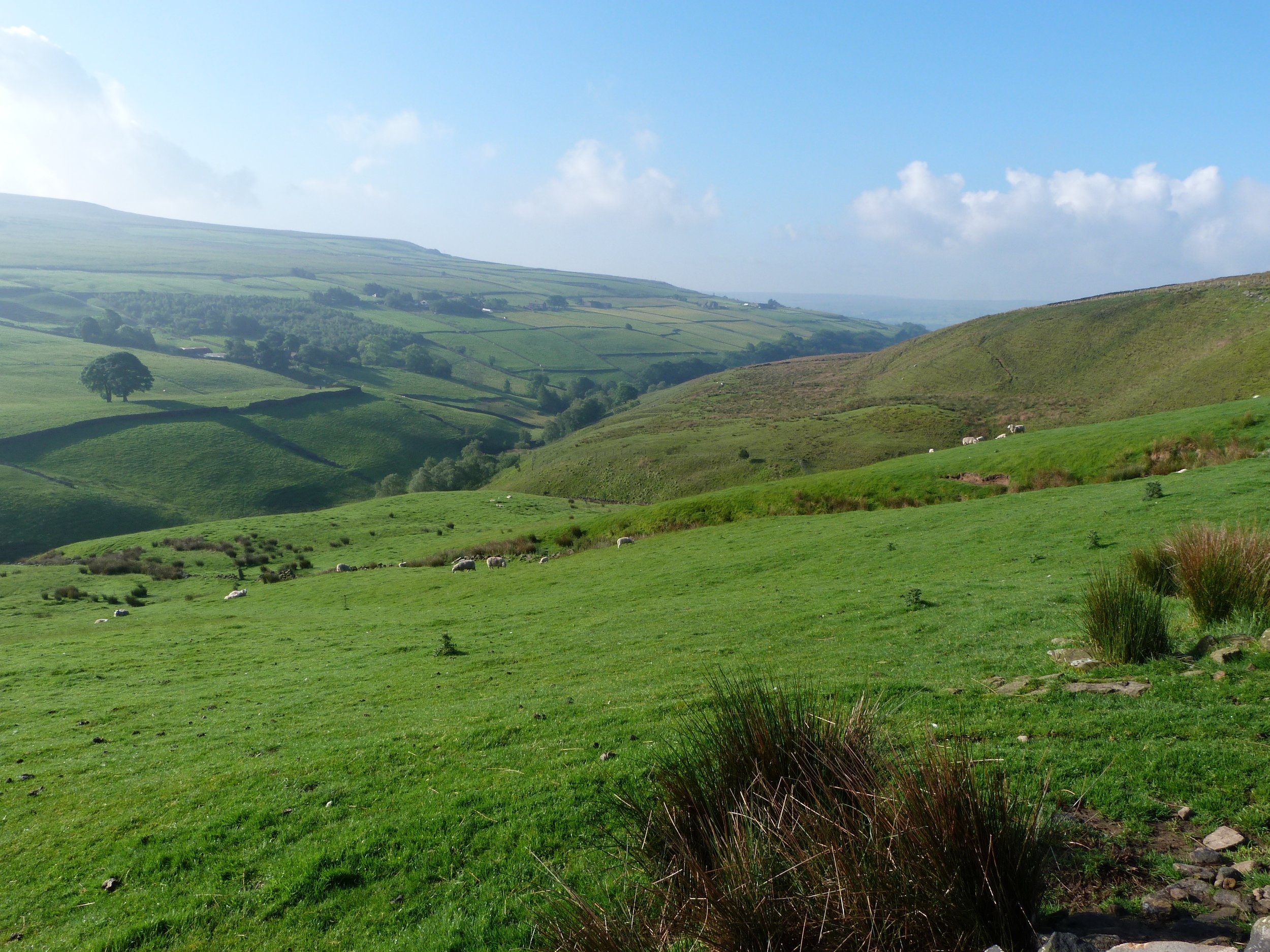 Crimsworth Dean from Wadsworth Moor