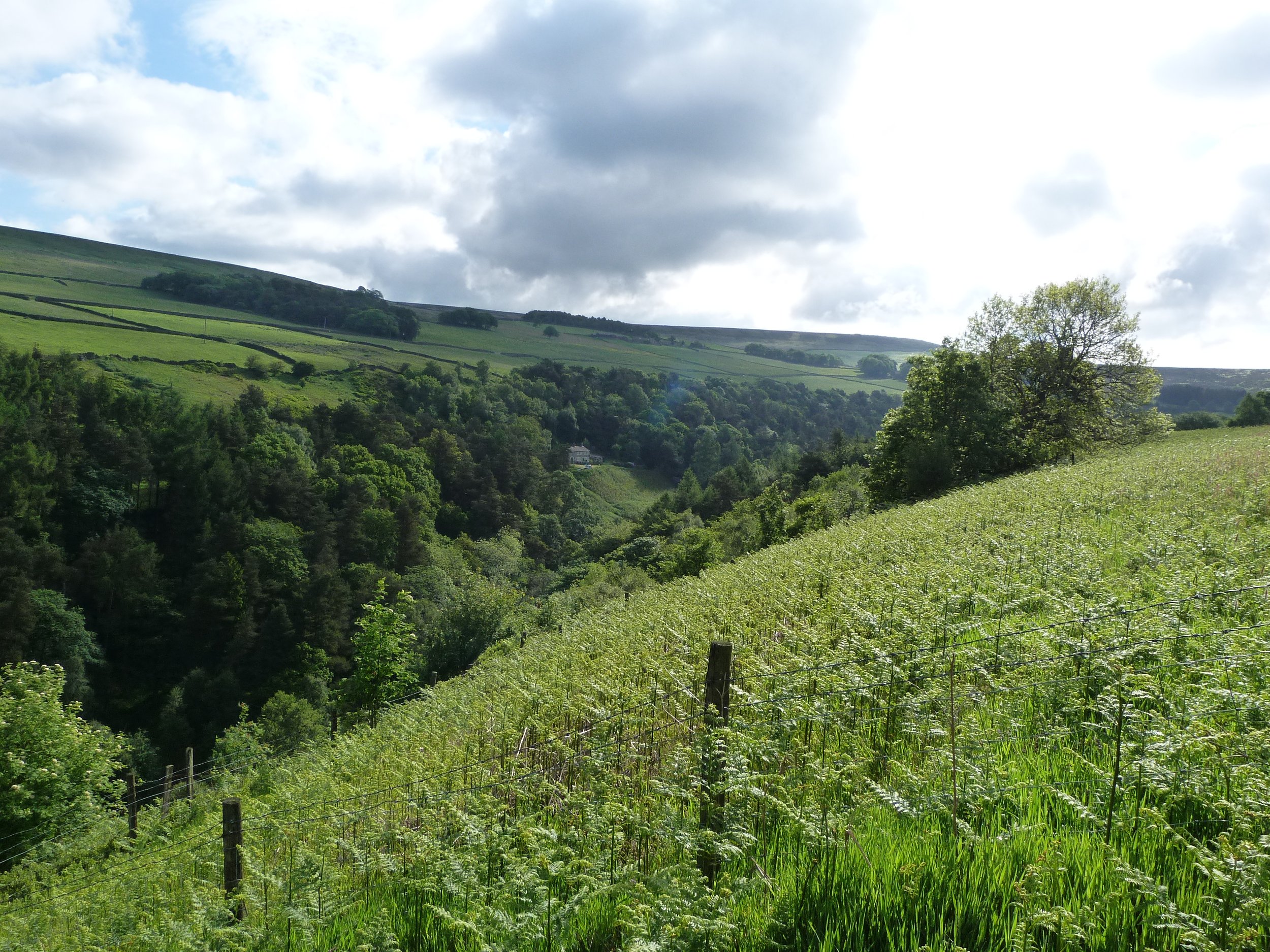 Looking towards Walshaw across Hardcastle Crags