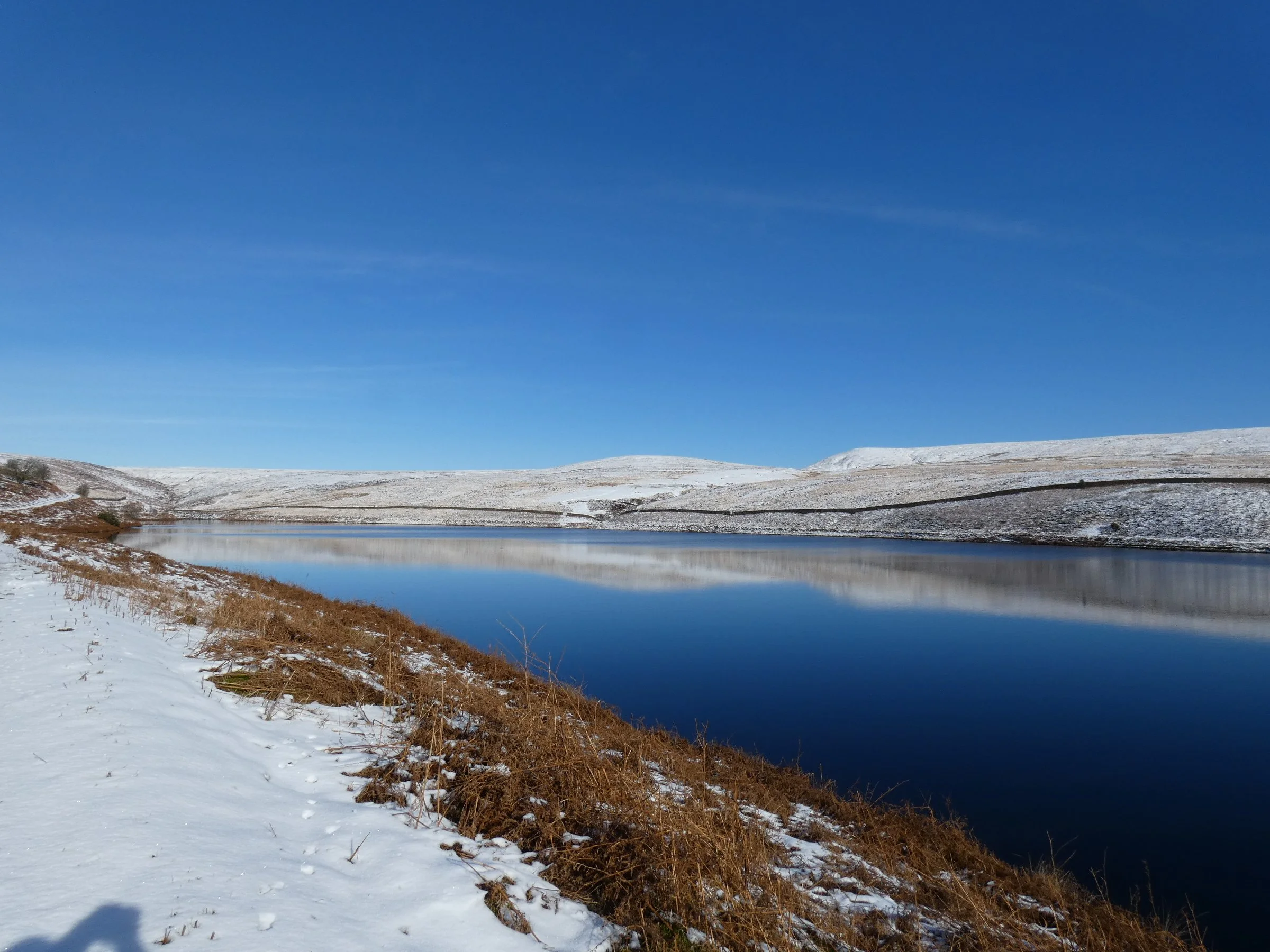 What we're fighting for