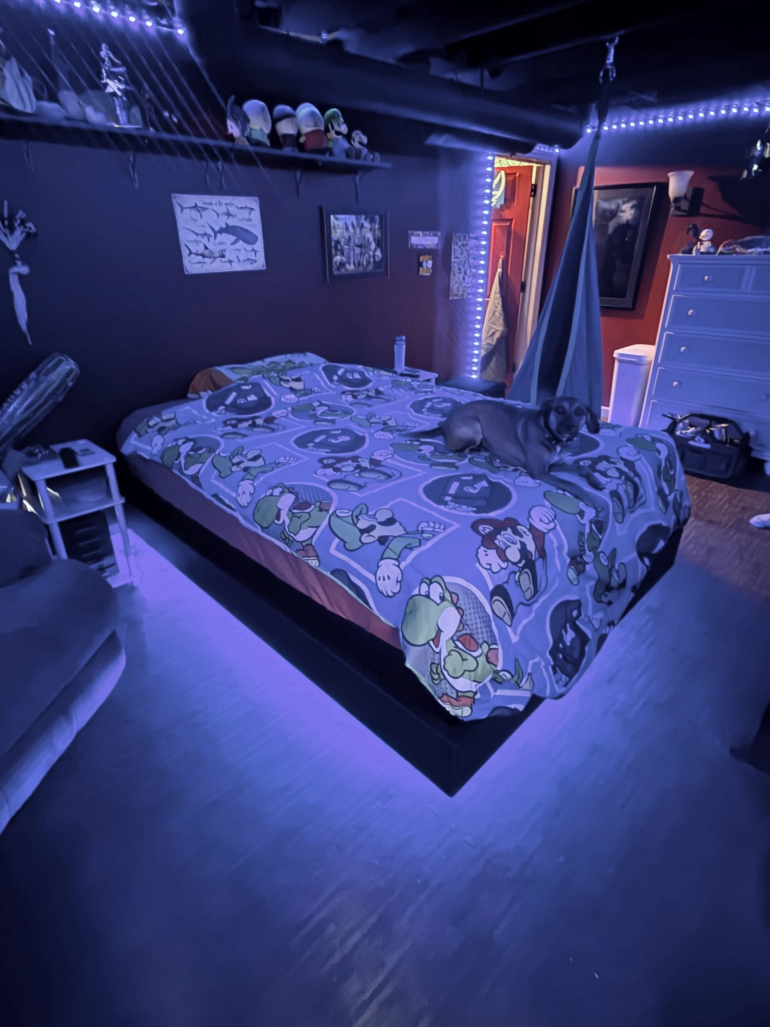 A bedroom illuminated with blue lighting, featuring a bed with a Mario-themed blanket, a dog lying on the bed, framed pictures on the wall, a key shelf with plush toys on top, a dresser, and various decorations including string lights and posters.