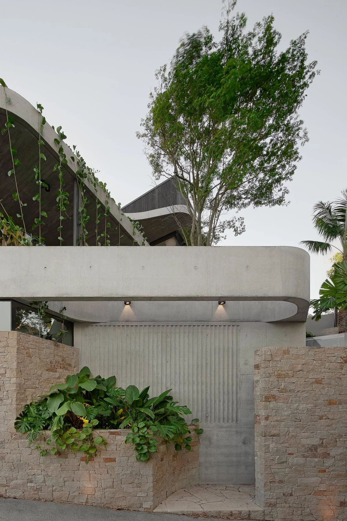 Web and Instagram res-50.jpg