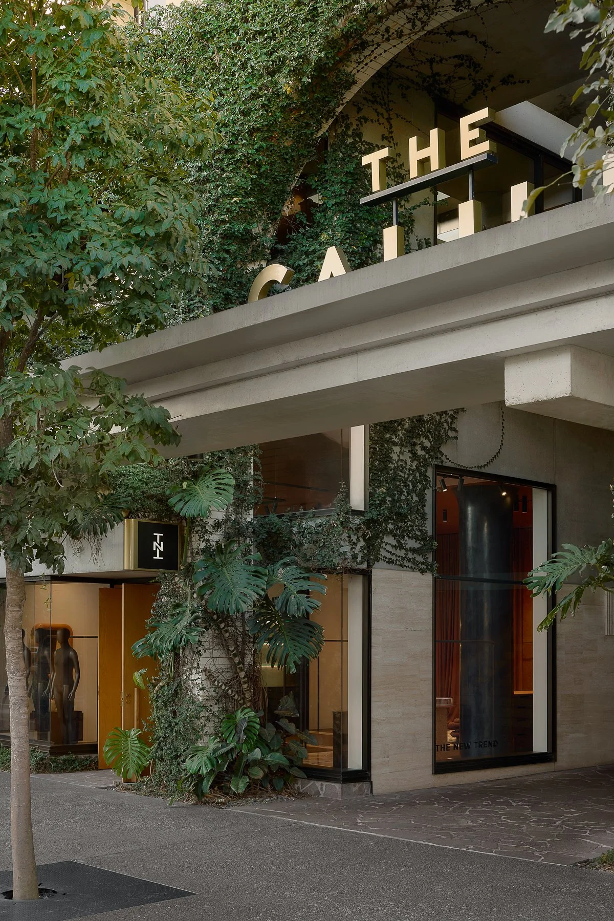 Web and Instagram res-5.jpg