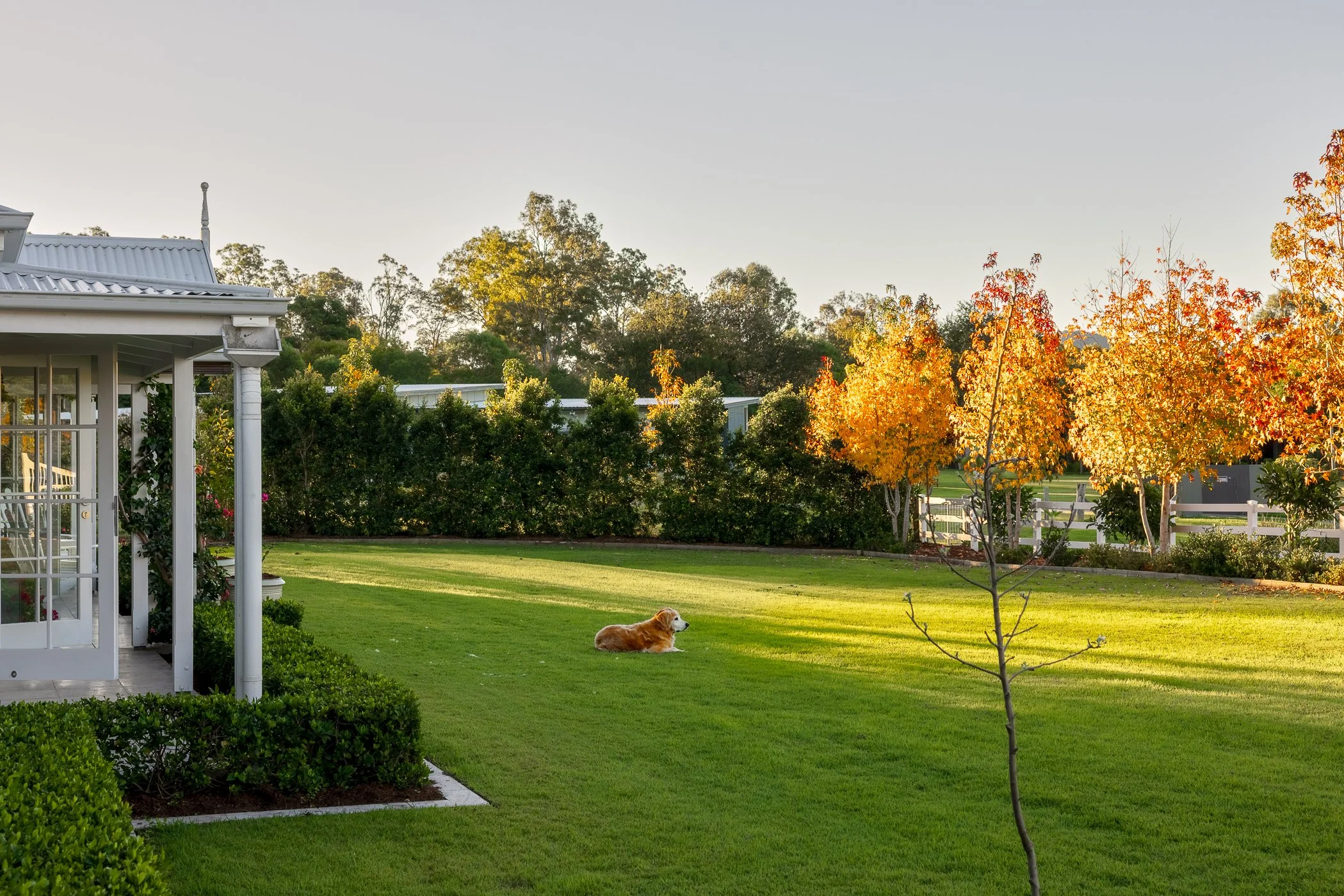 Web and Instagram Res-39.jpg