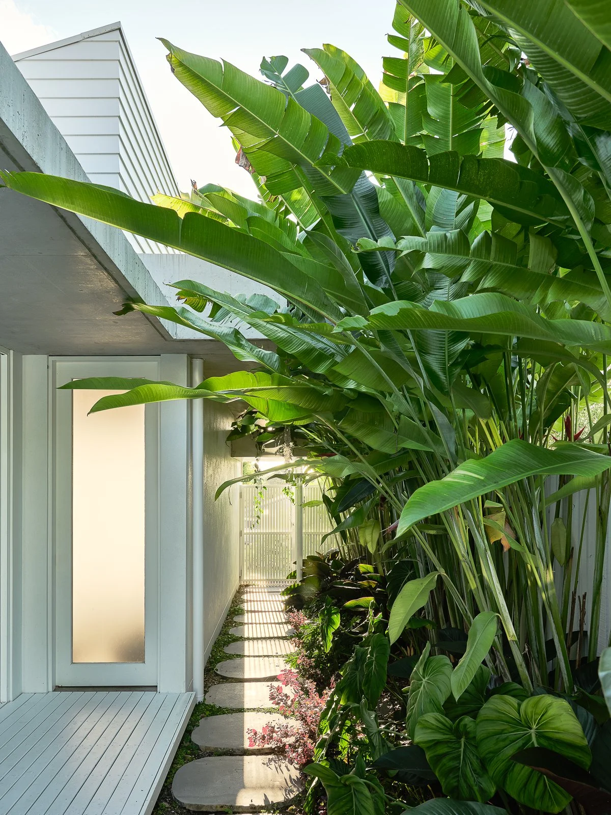 Web and Instagram res-13.jpg