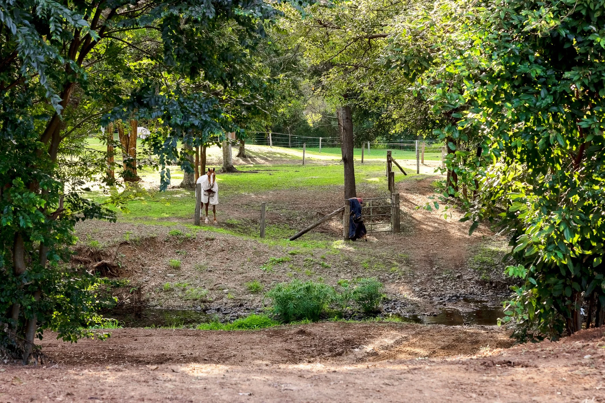 Web and Instagram Res-26.jpg