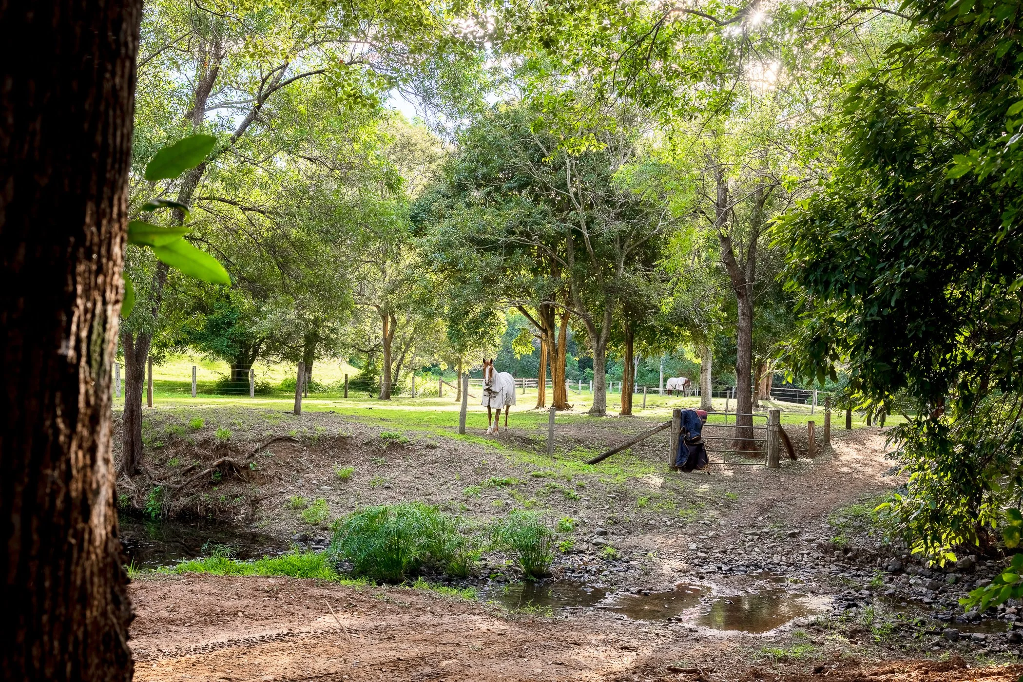 Web and Instagram Res-27.jpg