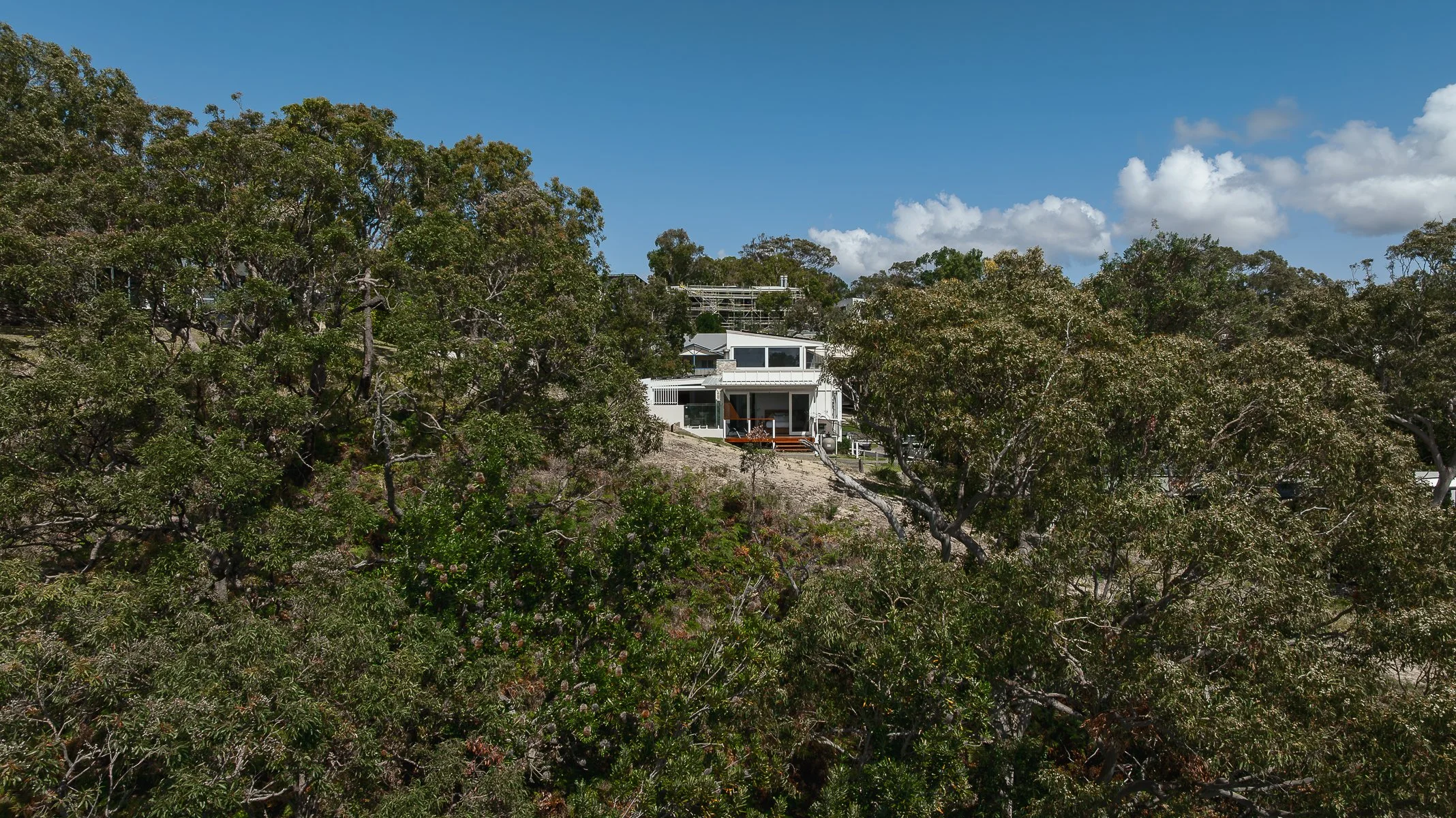 Web and Instagram res-2.jpg