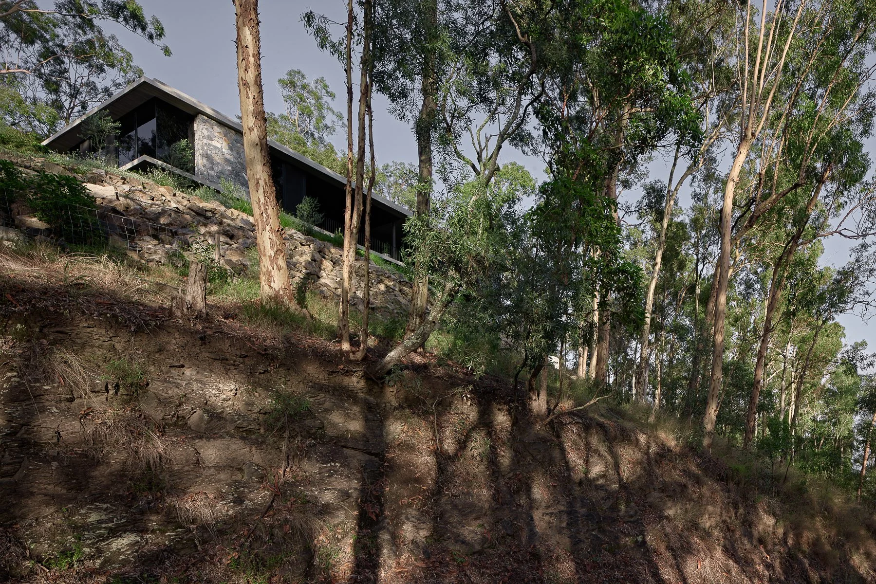 Web and Instagram res-17.jpg