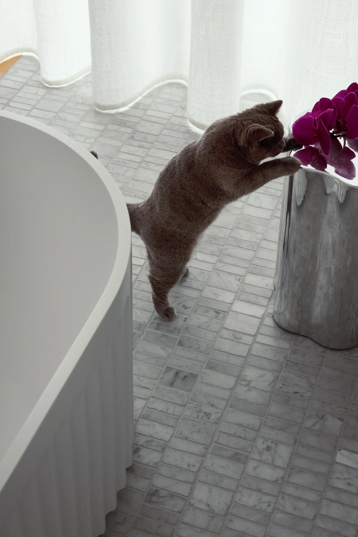 Web and Insta Res-22.jpg