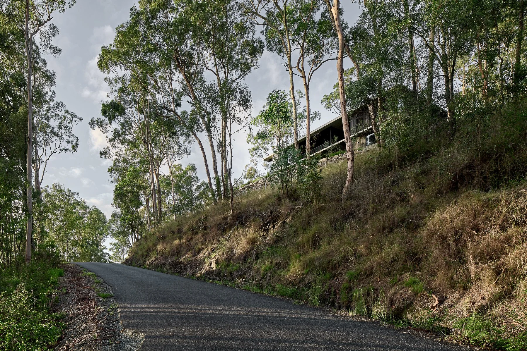 Web and Instagram res-16.jpg