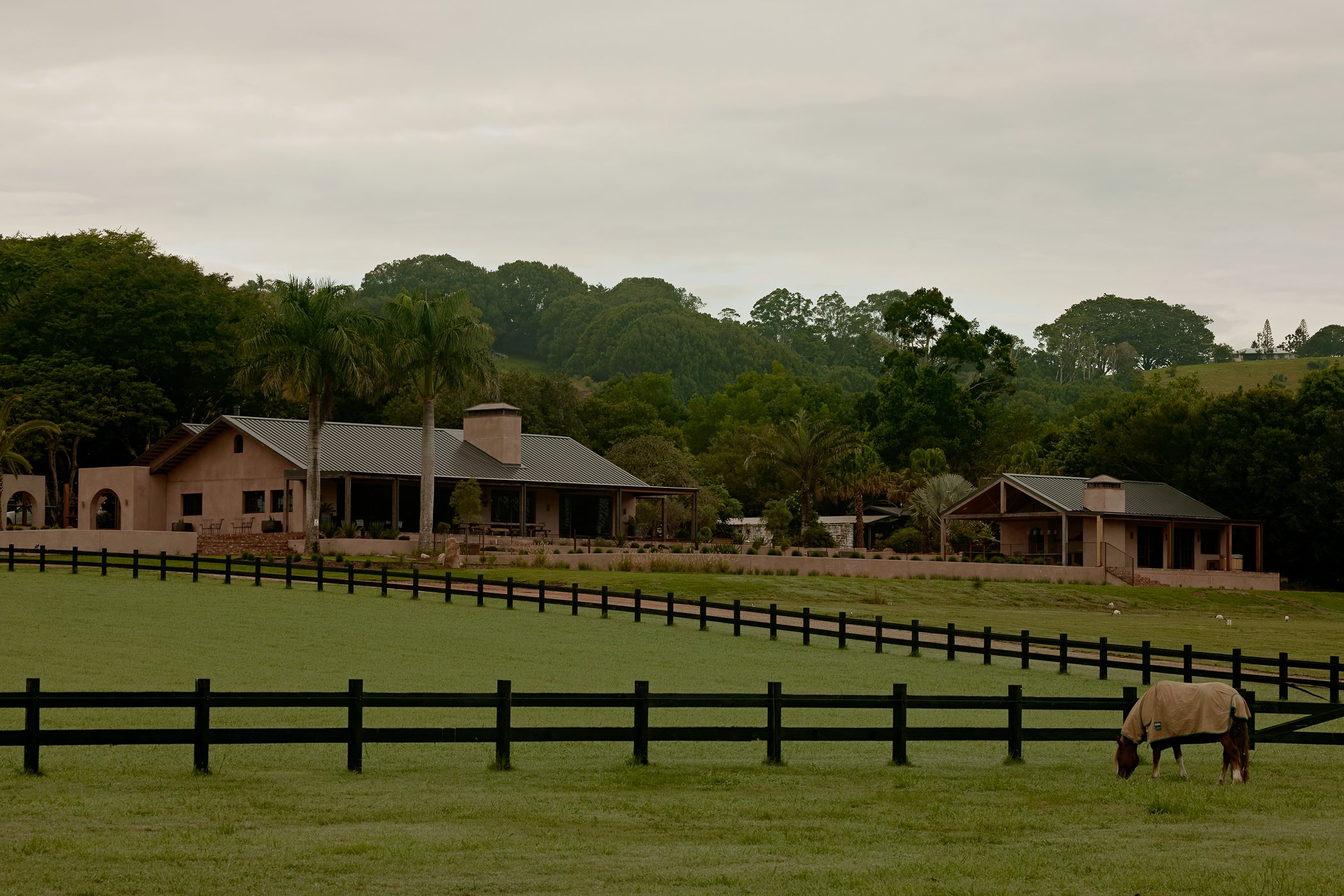 Web and Instagram Res-28.jpg