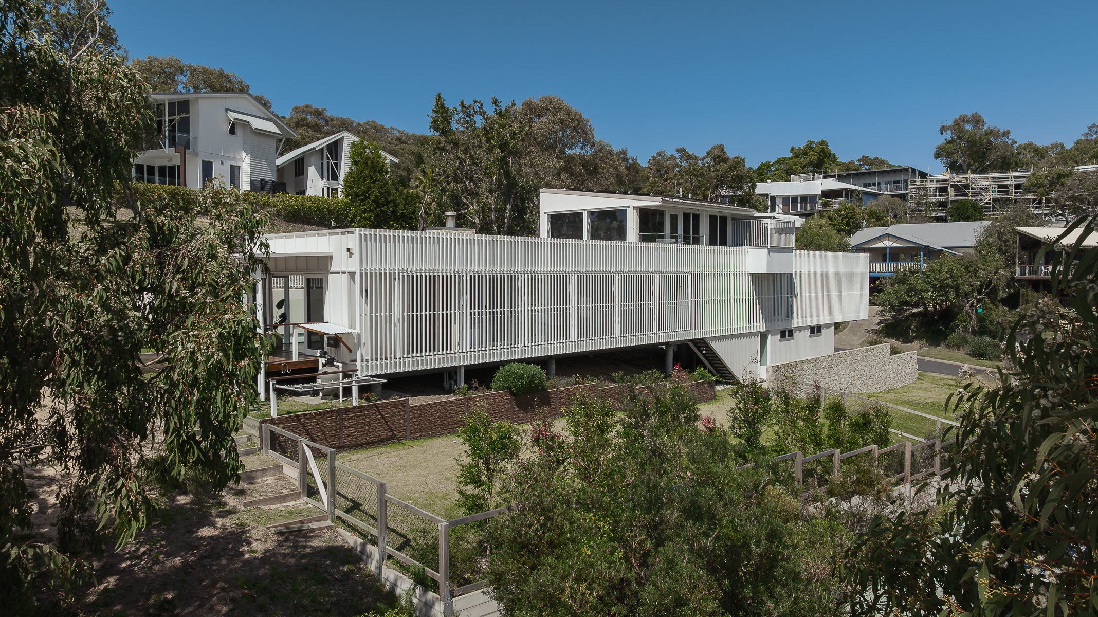 Web and Instagram res-1.jpg