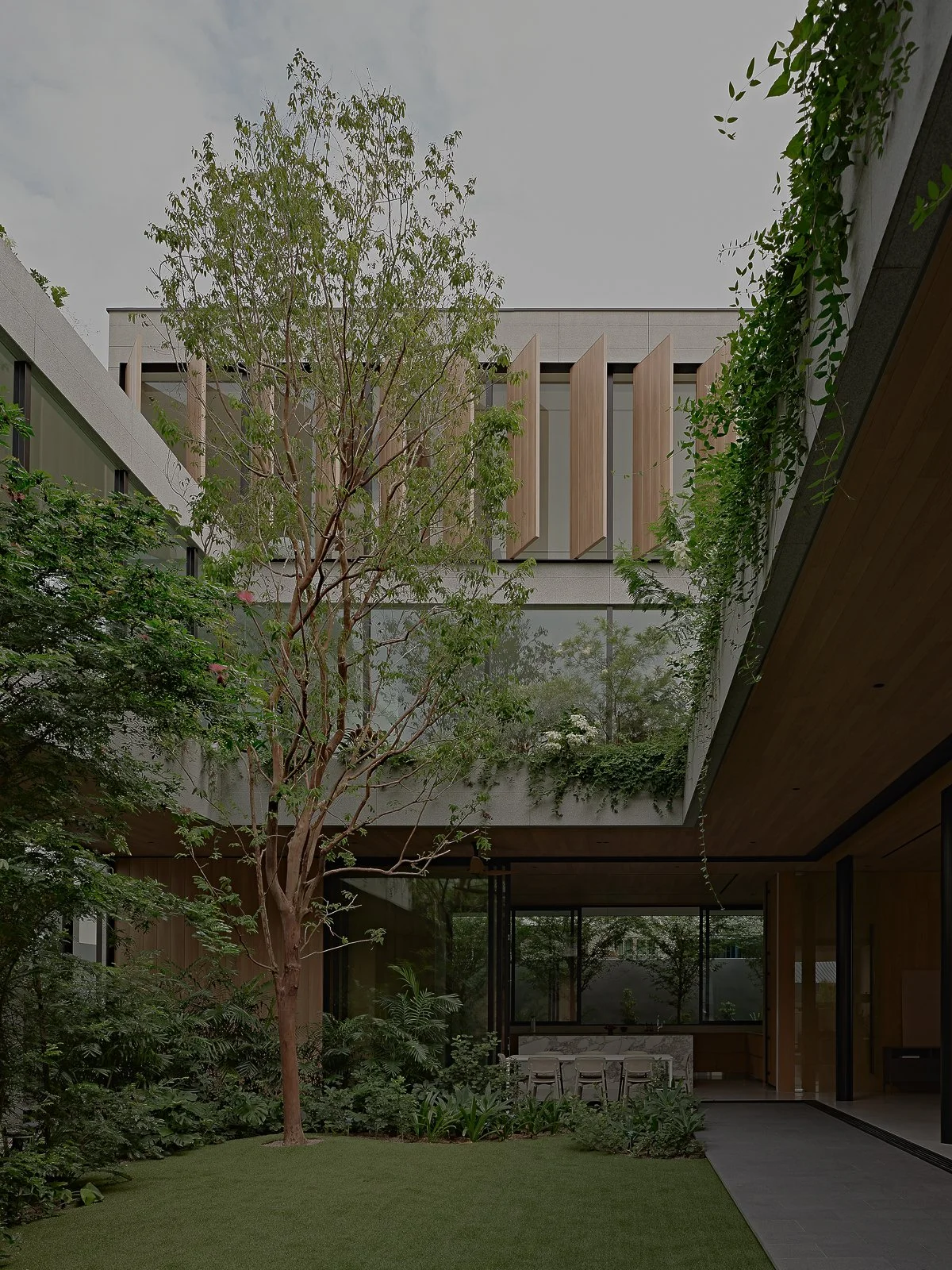 Web and Instagram res-1.jpg