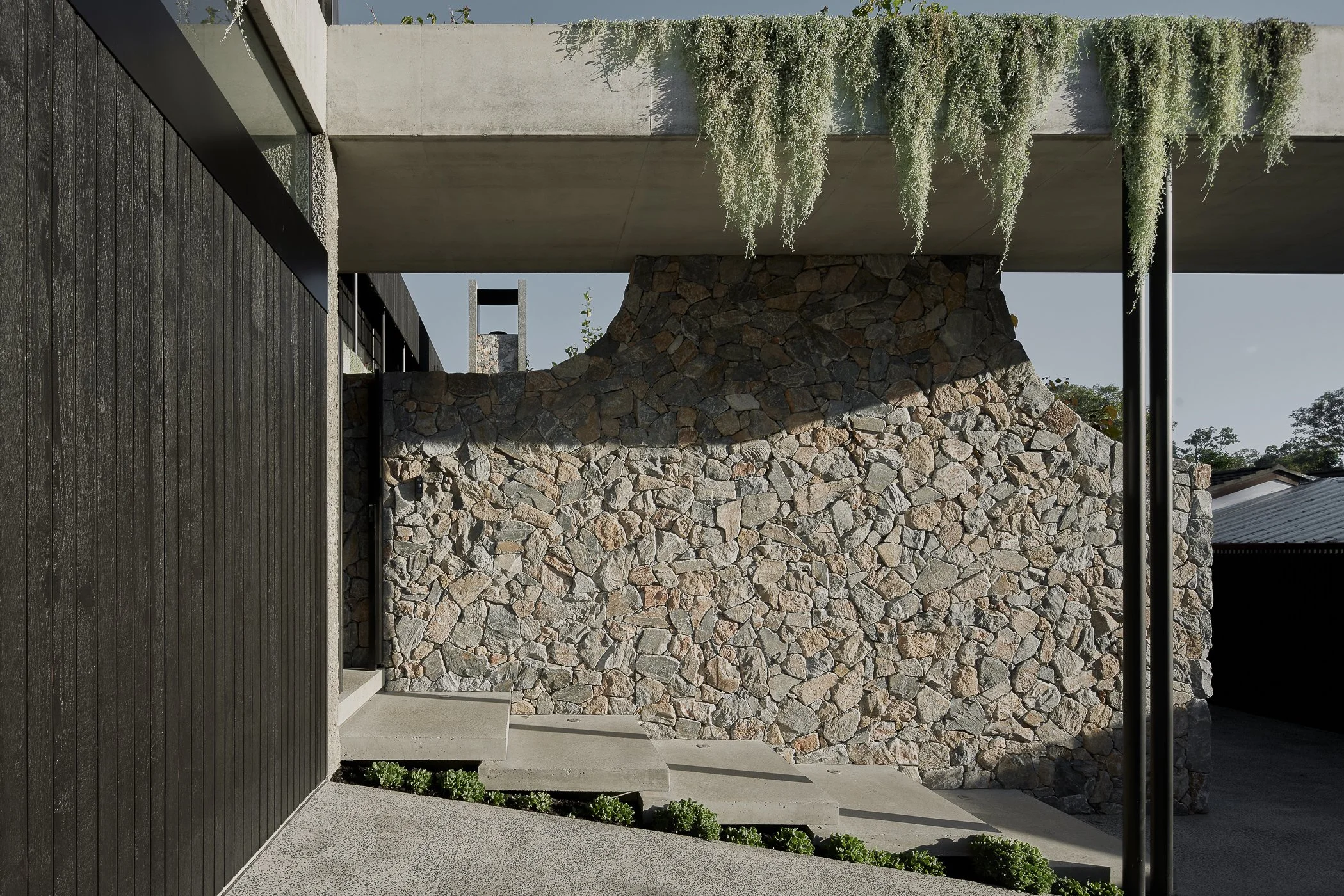 Web and Instagram Res-1.jpg