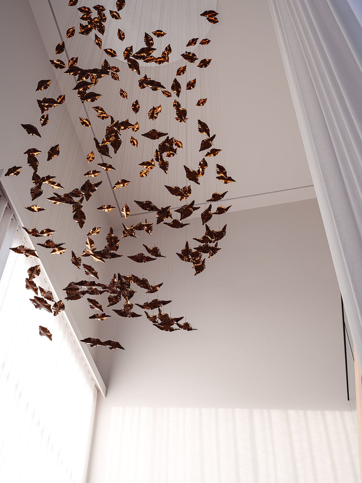 Web and Instagram res-16.jpg