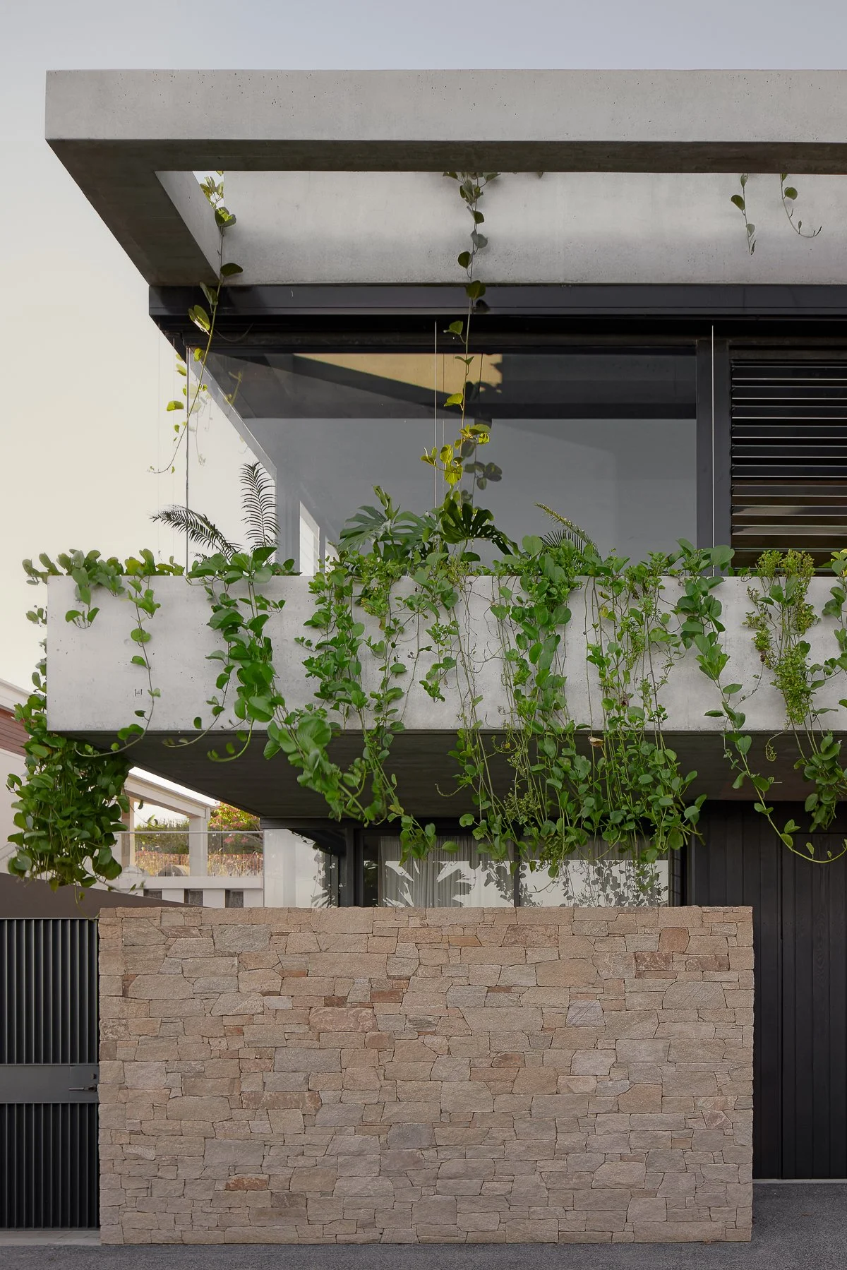 Web and Instagram res-47.jpg