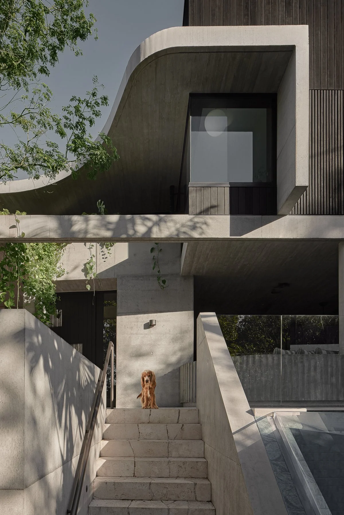 Web and Instagram res-1.jpg