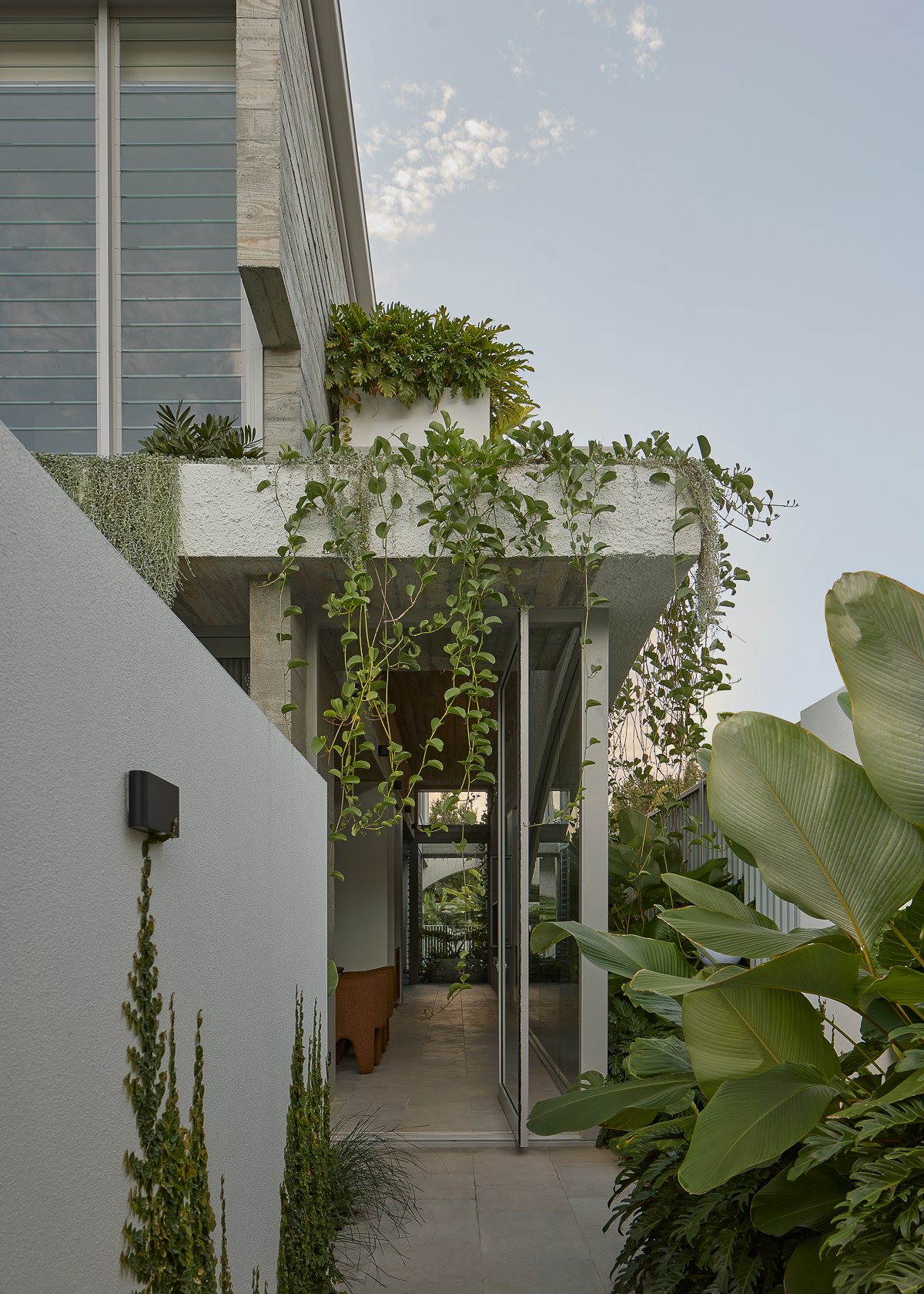 Web and Instagram res-4.jpg