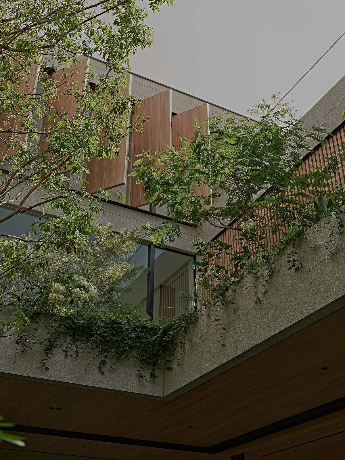 Web and Instagram res-3.jpg