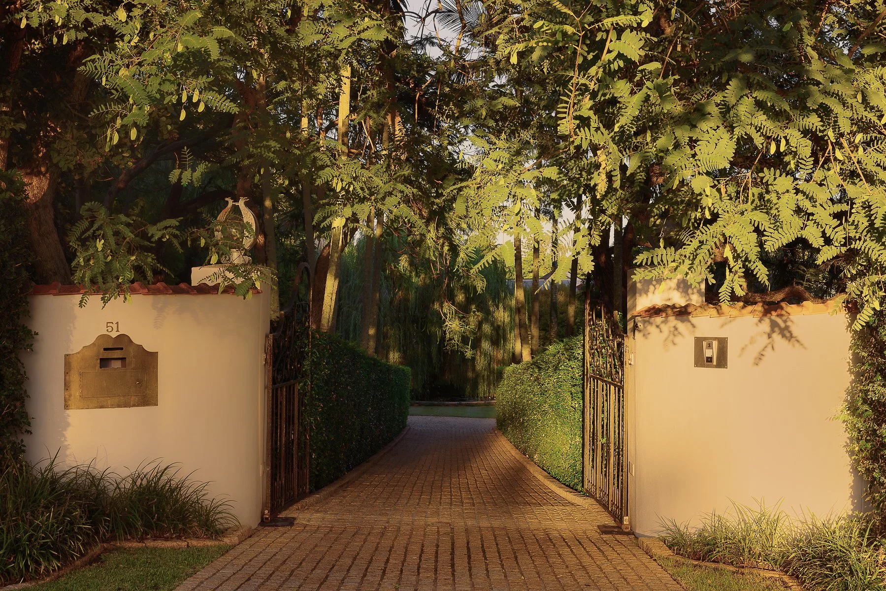 Web and Instagram res-3.jpg