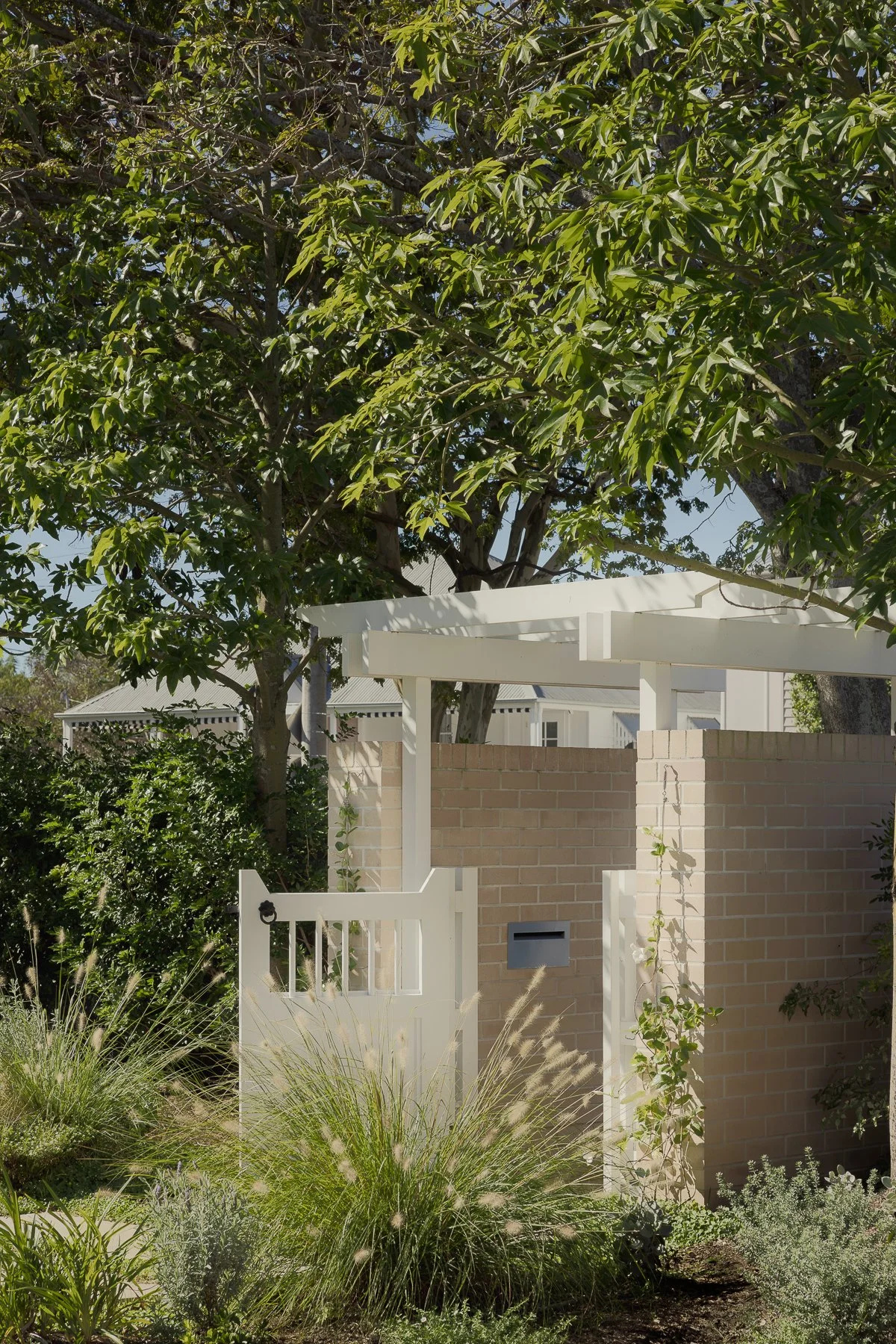 Web and Instagram res-1.jpg