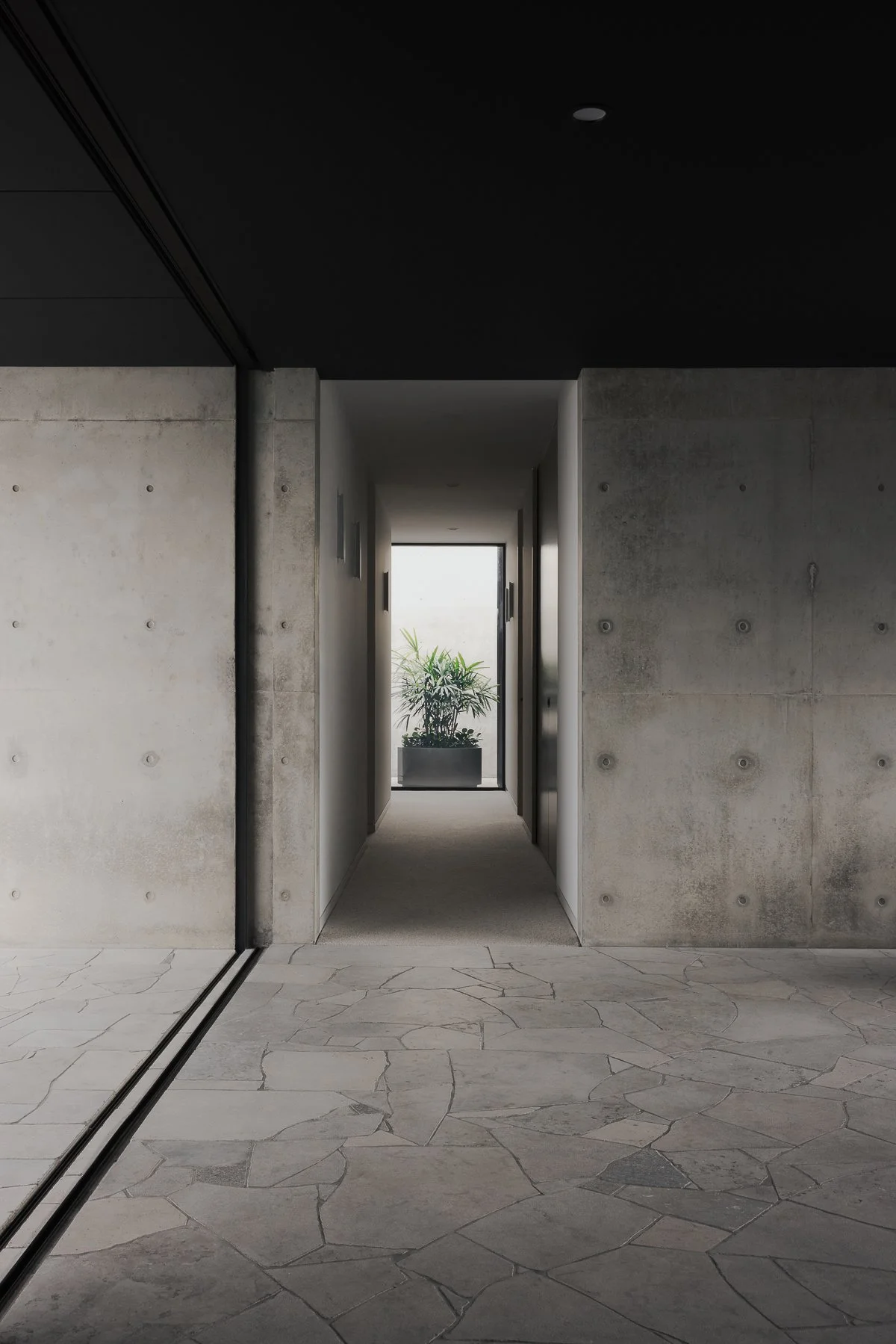 Web and Instagram res-15.jpg